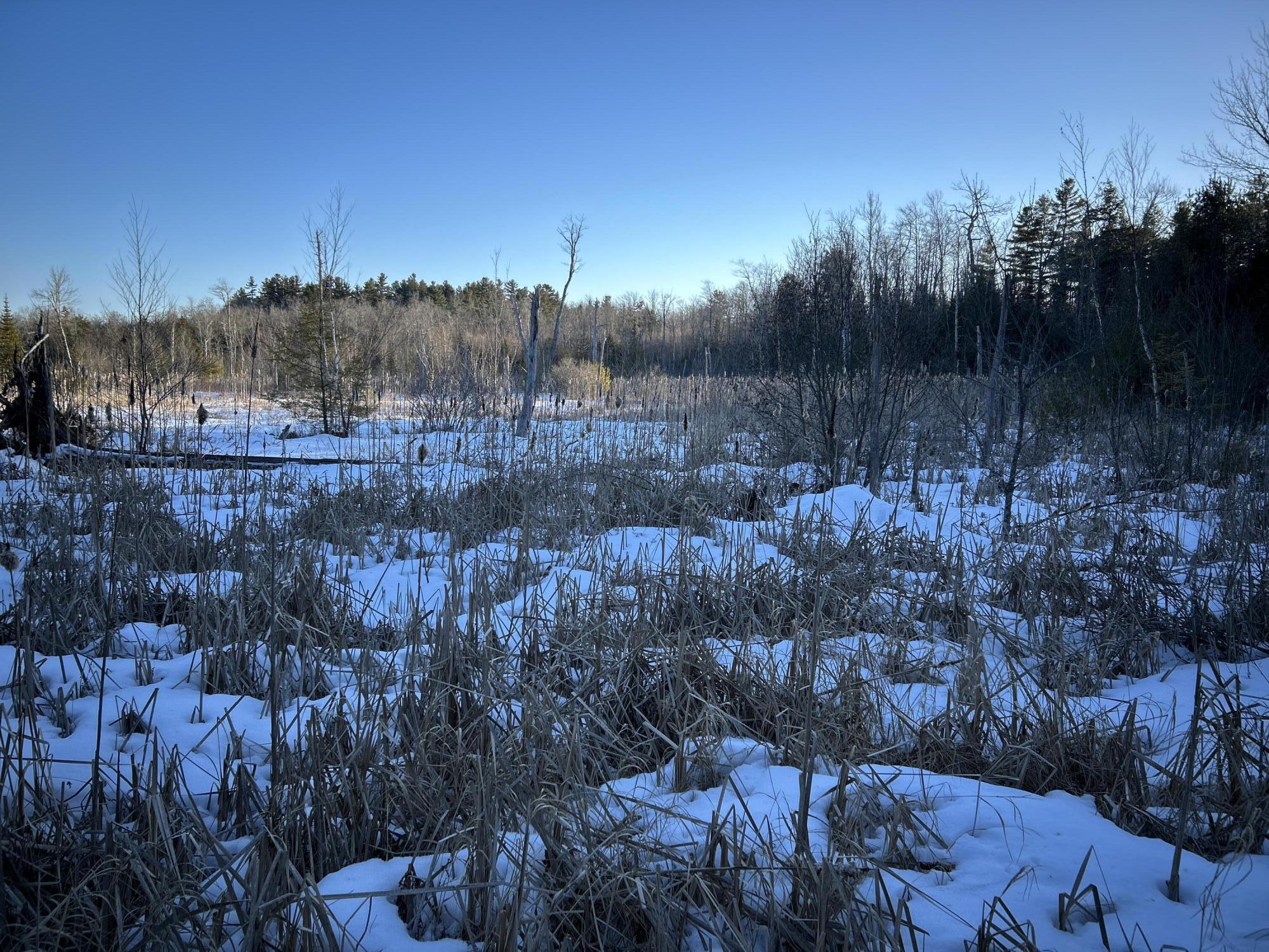 M7L22 Nelson Ridge Road N, Washington, ME, 04574