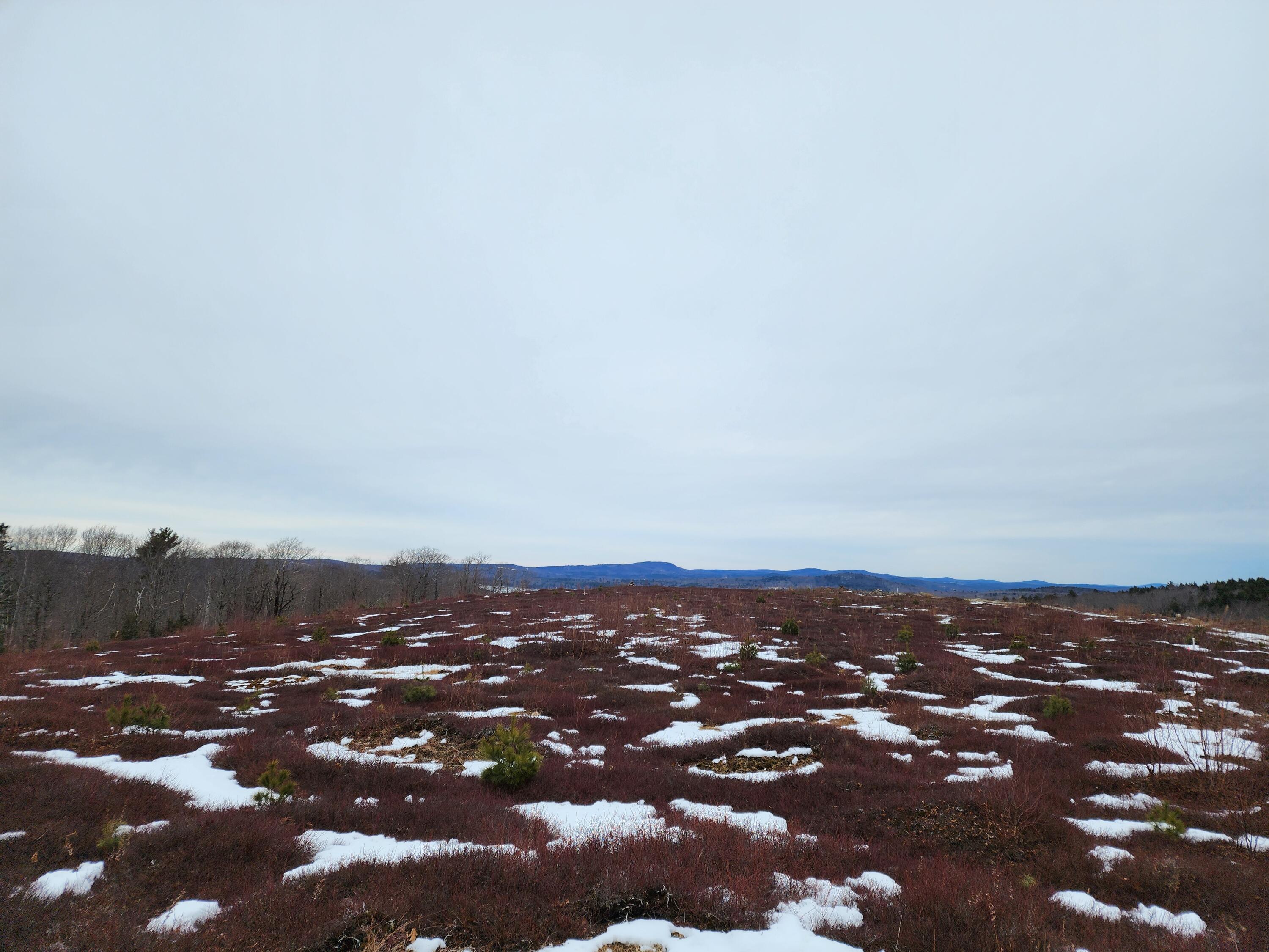 3 Whispering Berries Hill, Liberty, ME, 04949