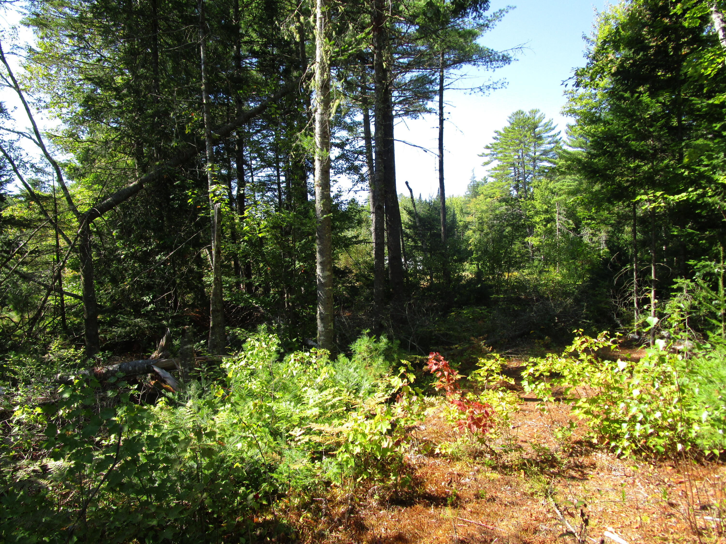 lot 8A N North Howland Road, Maxfield, ME, 04448