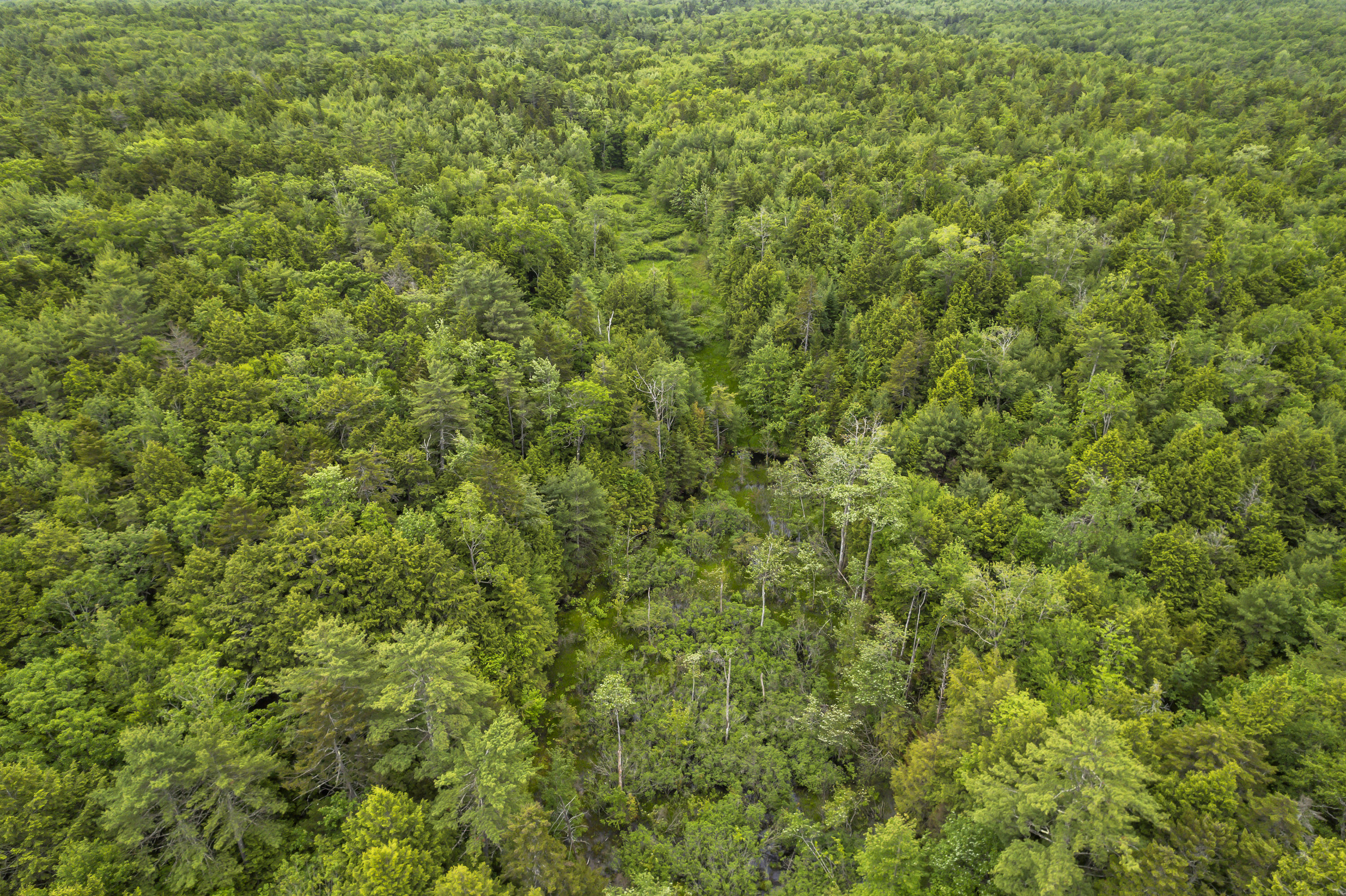 44A Trott Road Road, Woolwich, ME, 04579