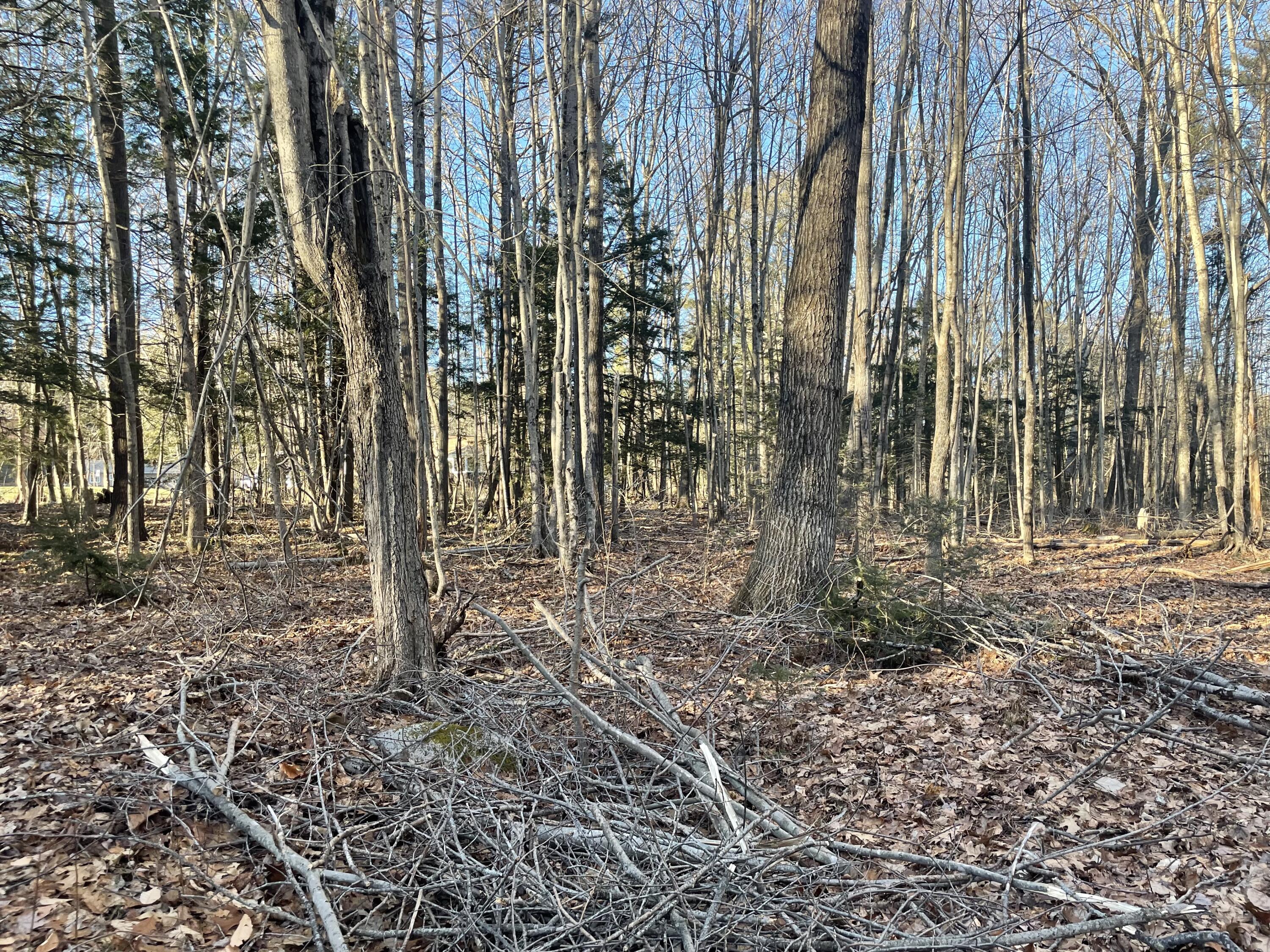 0 Cross Street, Manchester, ME, 04351