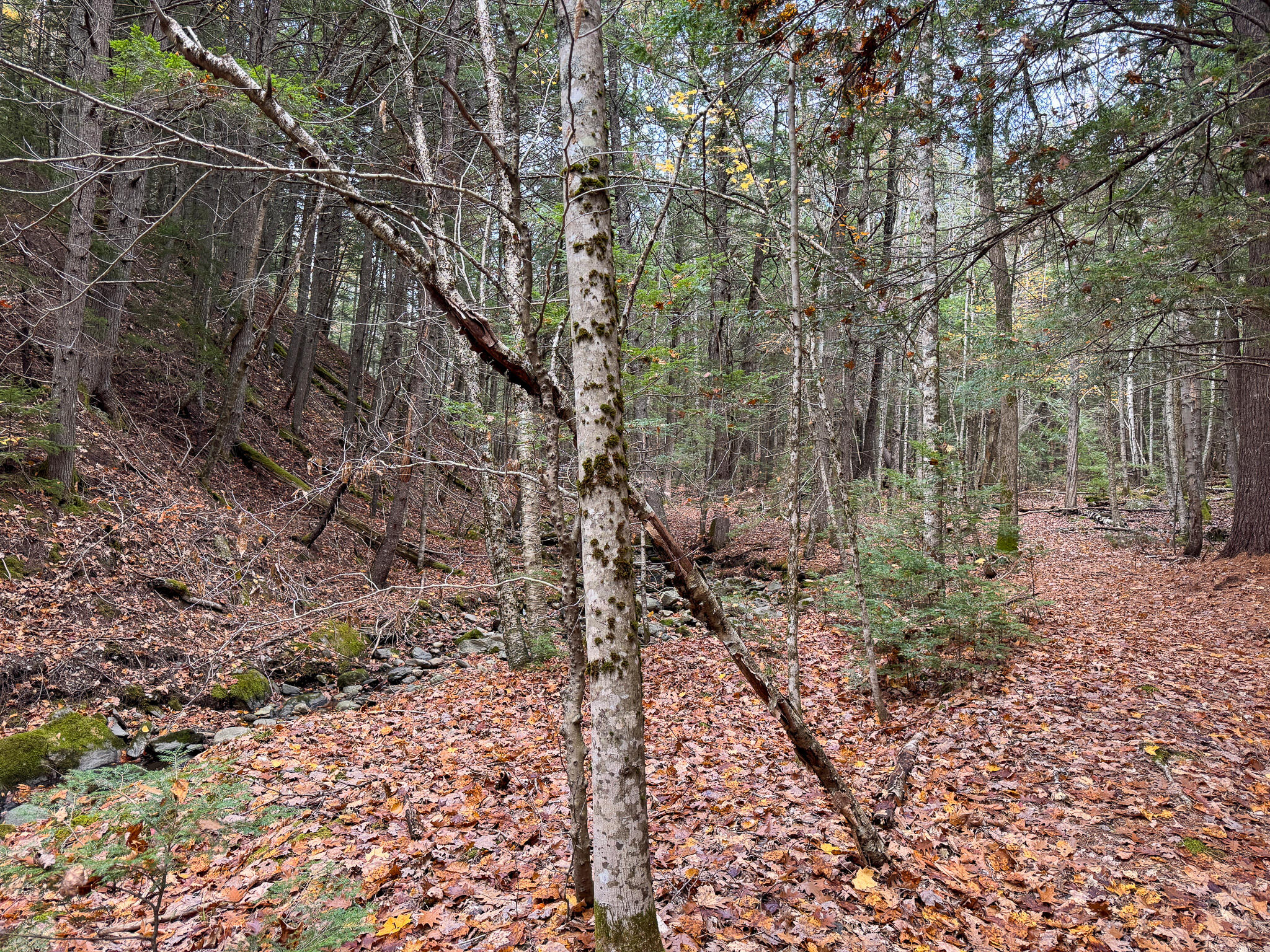 Lot 2 Darci Lane, Montville, ME, 04941