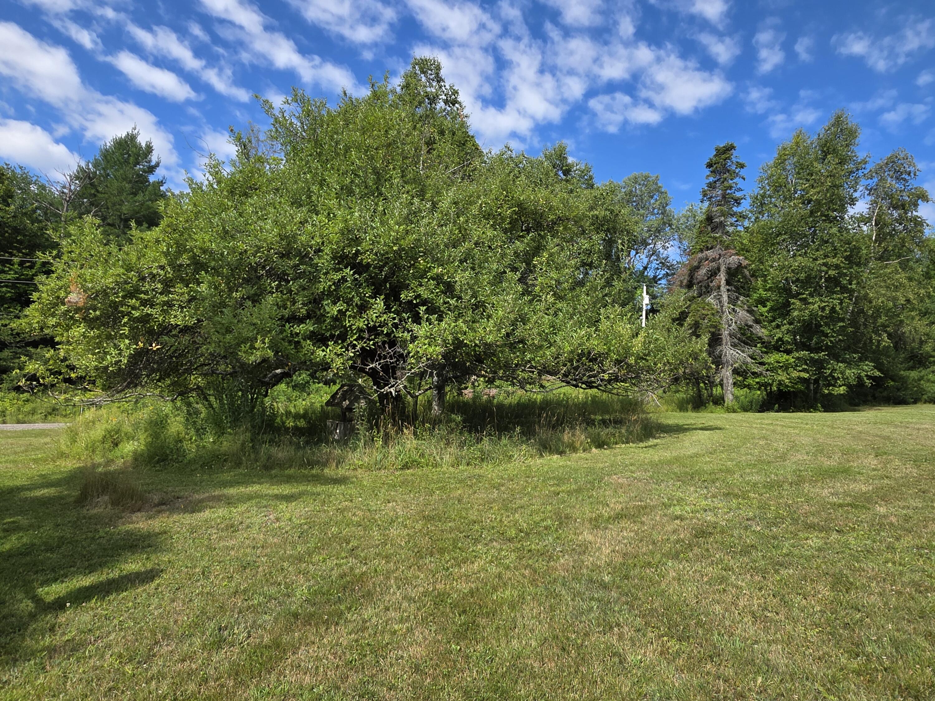 2 Number 10 Road, Dexter, ME 04930 20260724_093405