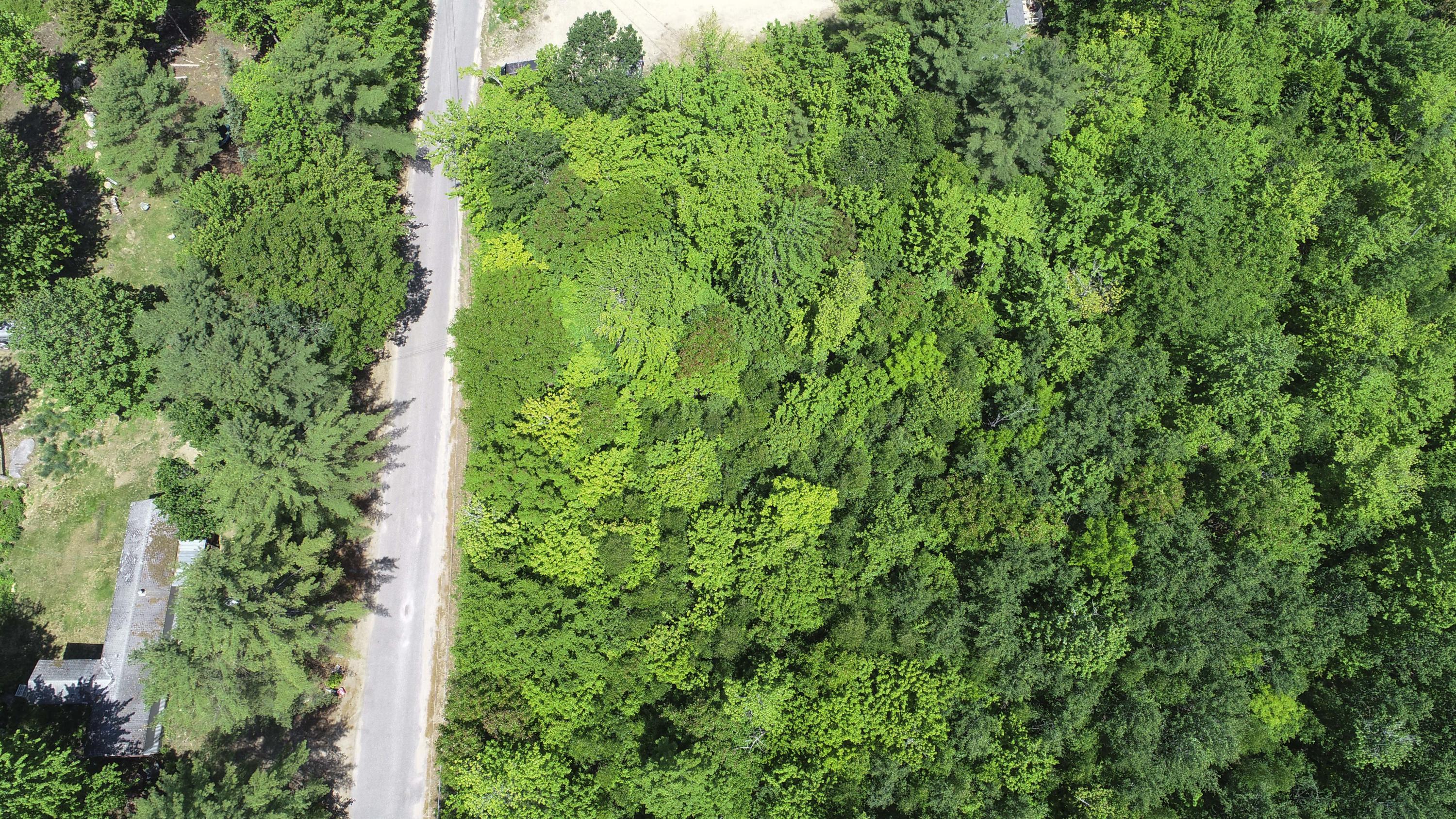 Lot 1 Harbor Road, Woodstock, ME, 04219