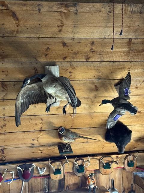 186 S South Arm Road, Andover, ME, 04216