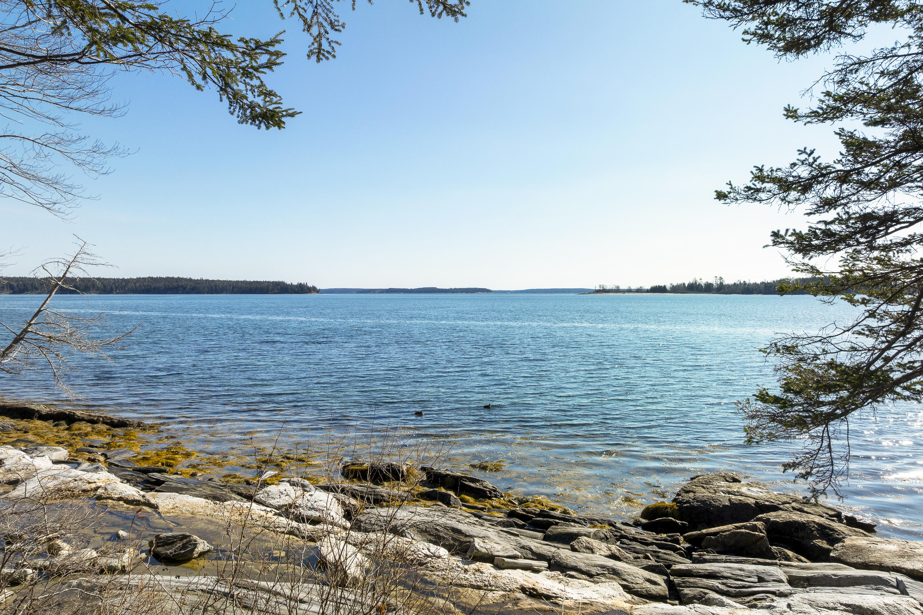 153 Back Shore Road, Bristol, ME, 04564