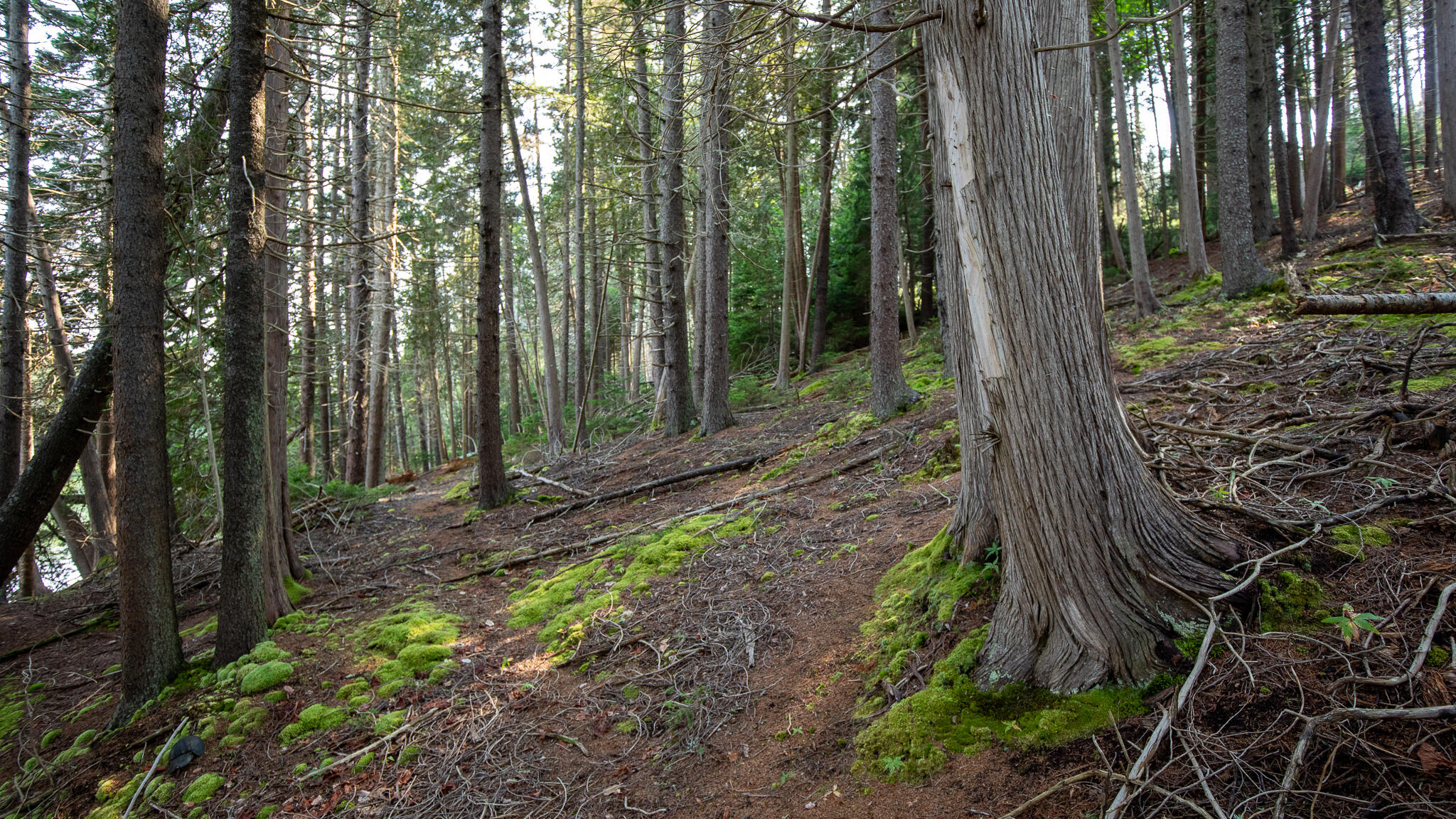 0 Bayview Road UNIT 2, Harpswell, ME, 04066