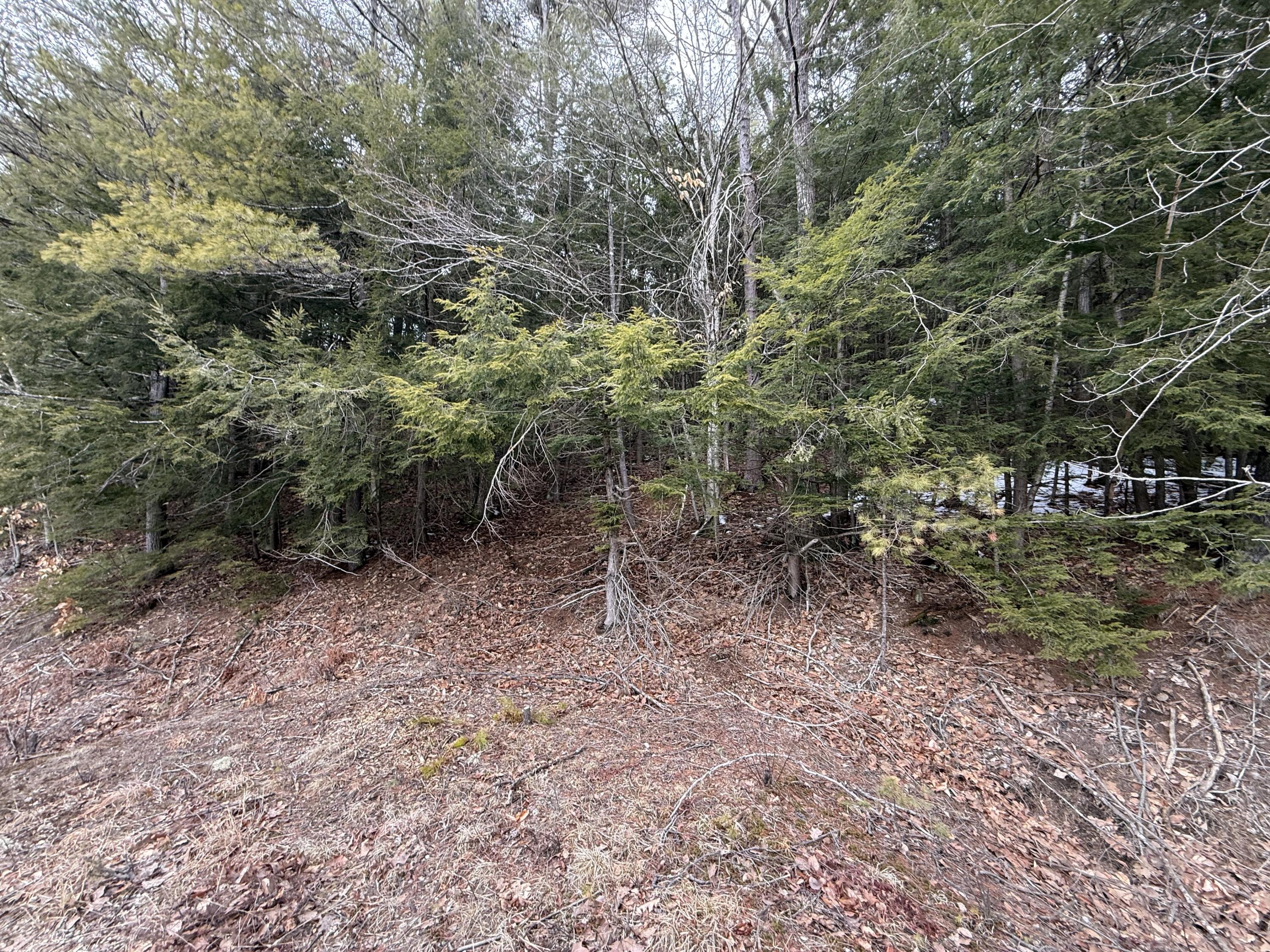 M43 L6 Shady Nook Road, Newfield, ME, 04095