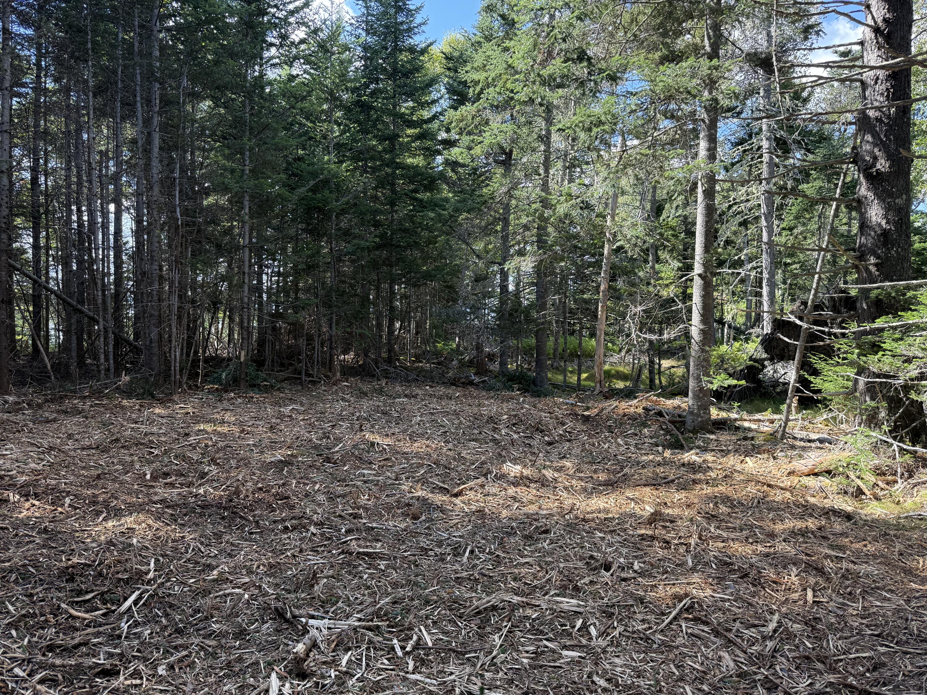 1552 Turtle Head Road, Islesboro, ME, 04848