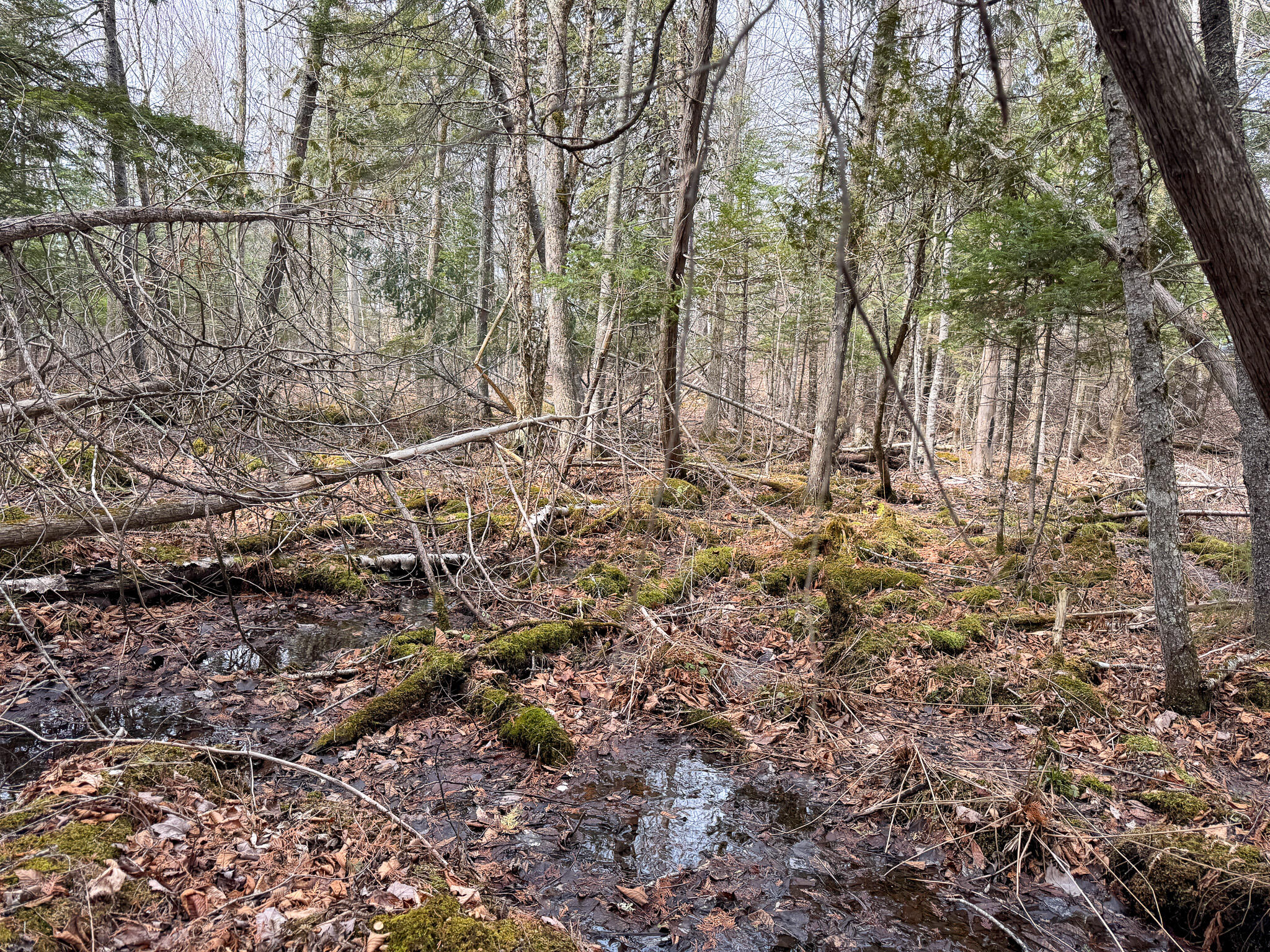 M11L10 Off Gordon Hill Road, Thorndike, ME, 04986