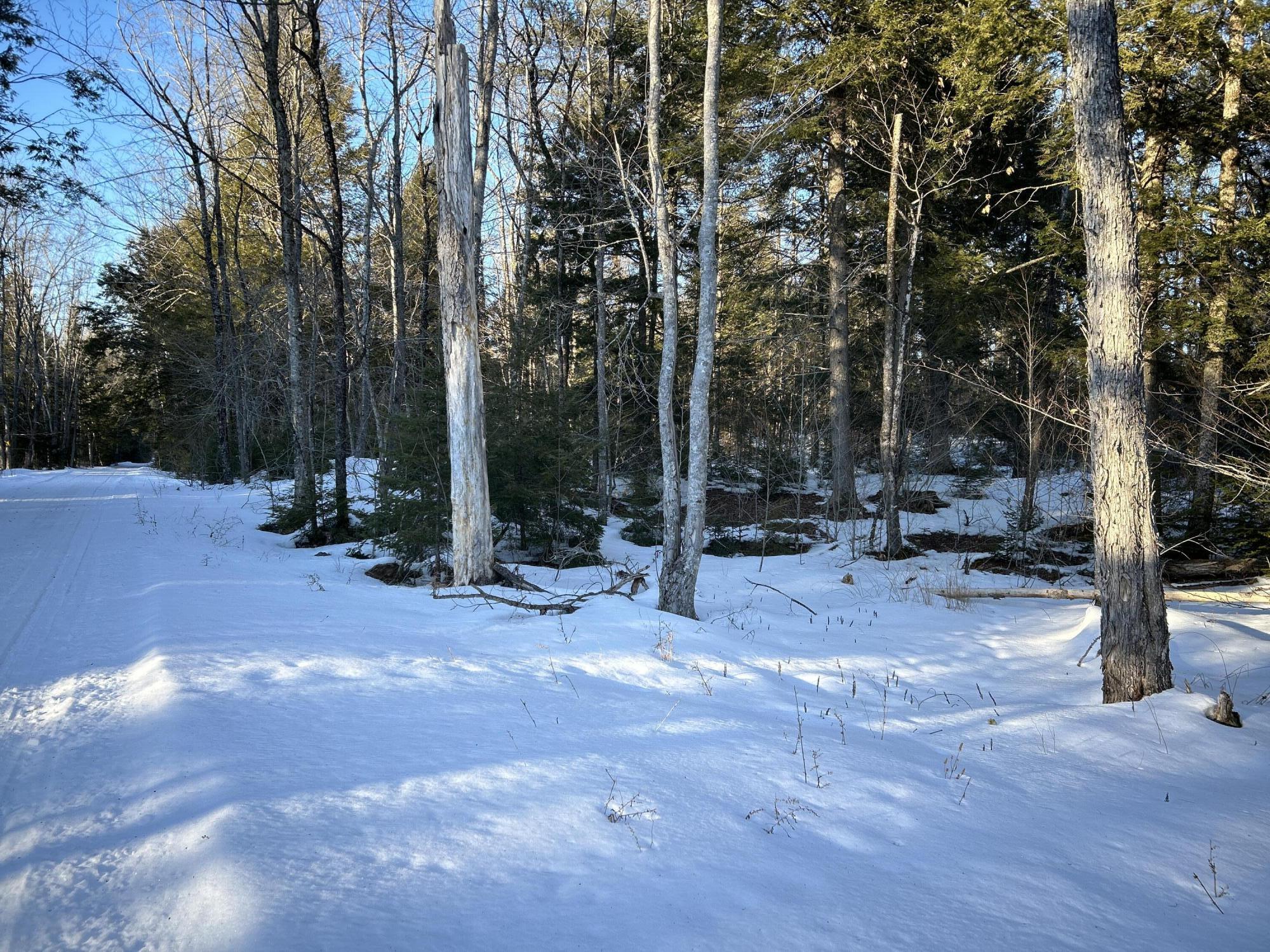 M7L22 Nelson Ridge Road N, Washington, ME, 04574