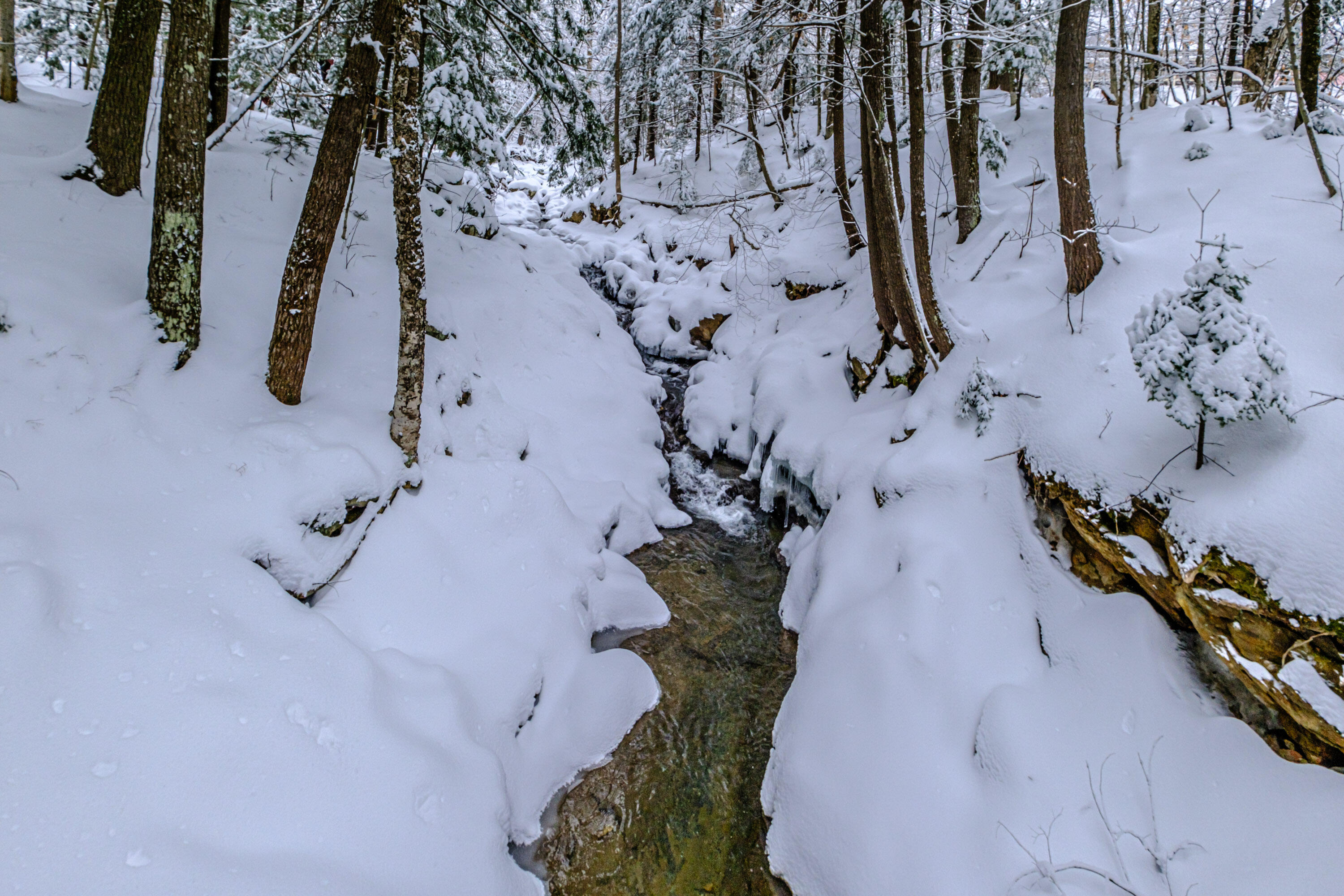 45 Viking Village Road, Newry, ME, 04261