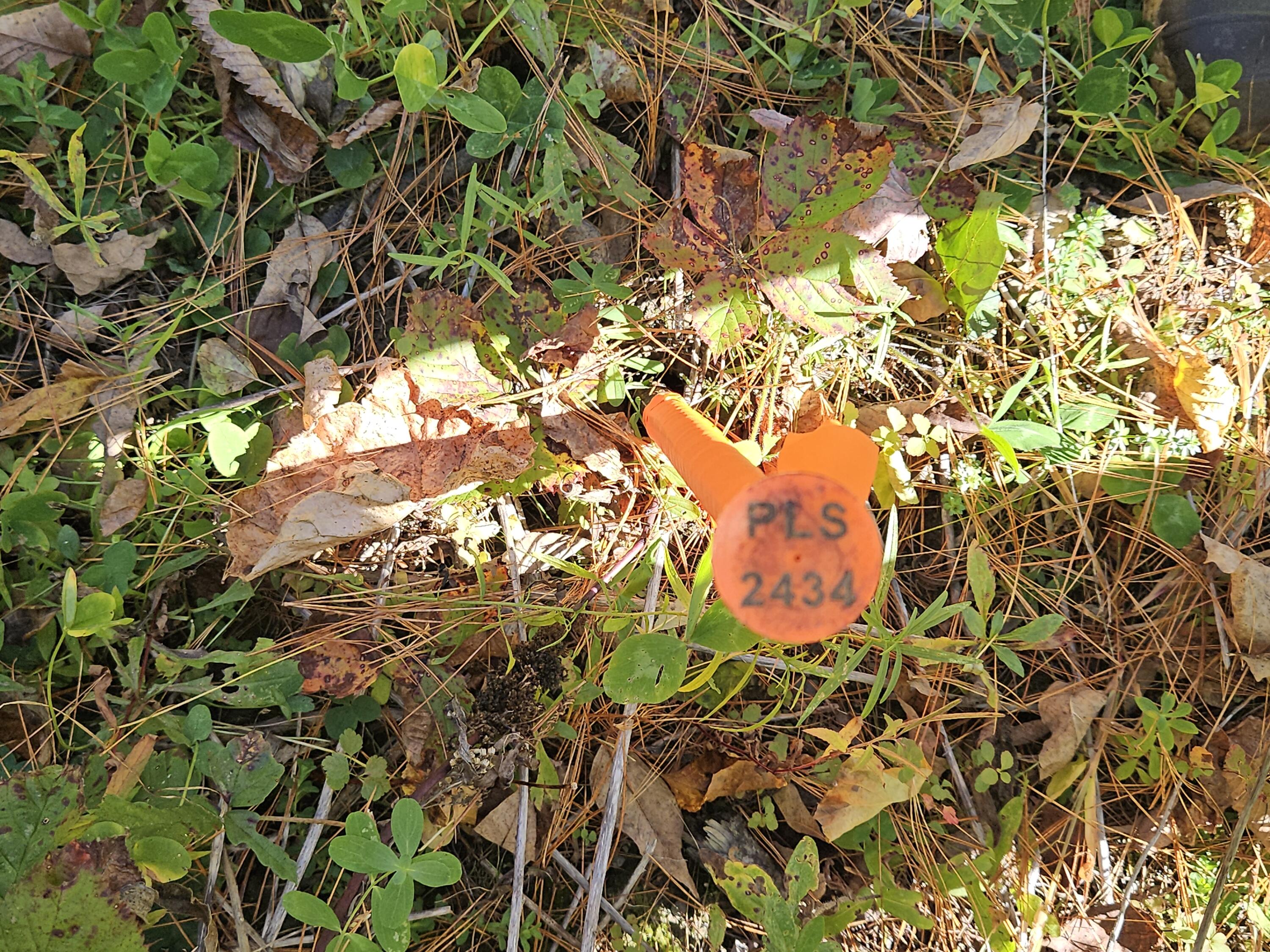 R11-033-1 Bailey Hill Road, Farmington, ME, 04938