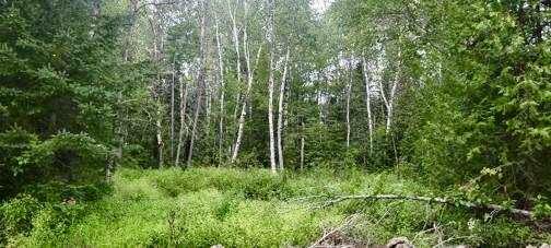 005-005 Grendell Road, Chapman, ME, 04757