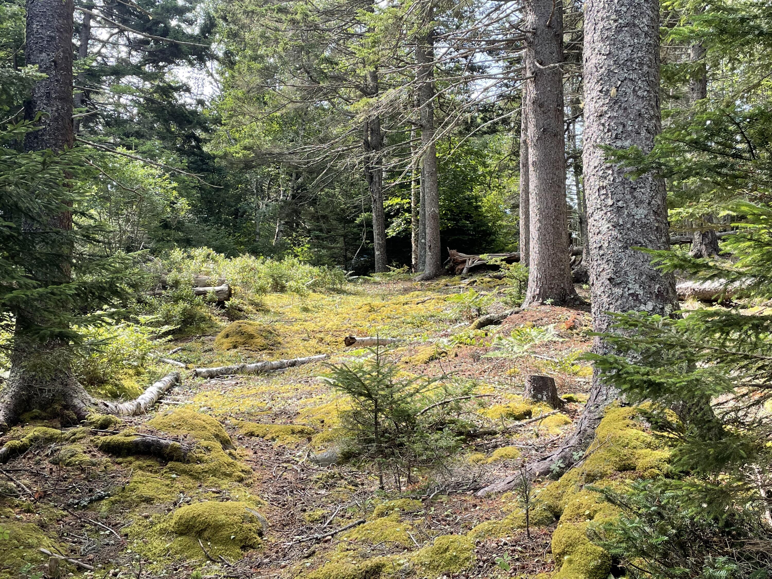 0A Old Harbor Road, Vinalhaven, ME, 04863