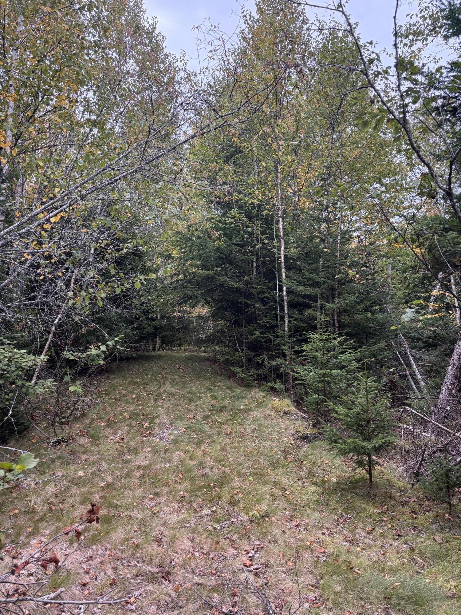 M20L2 East Side Road, Addison, ME, 04606