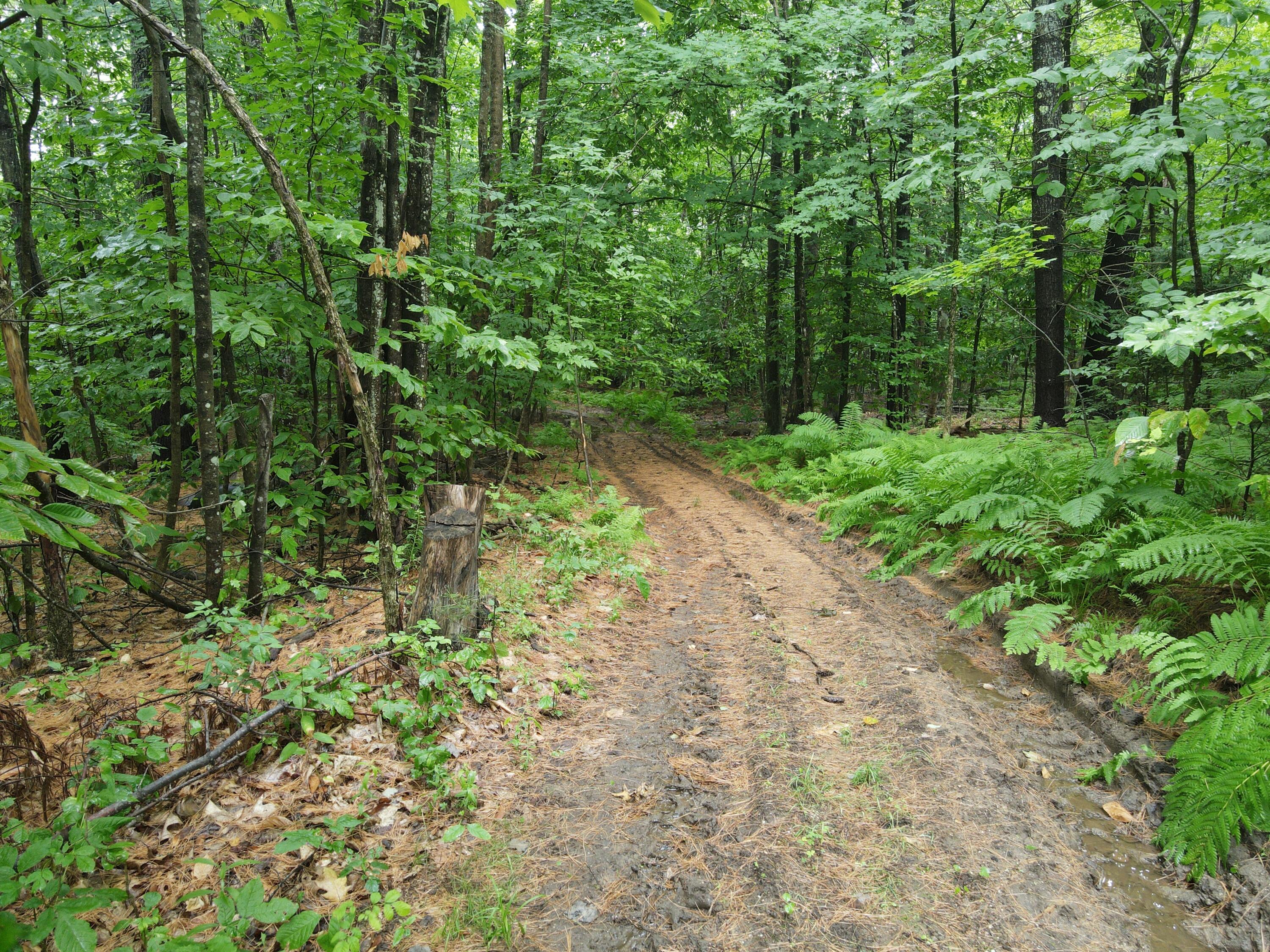 0 North Street, Mechanic Falls, ME, 04256