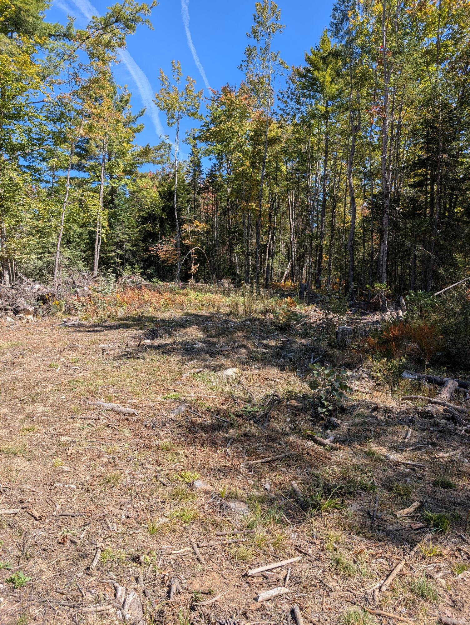 MR11 Lot40 Yeaton Swamp Road, Oxford, ME, 04270