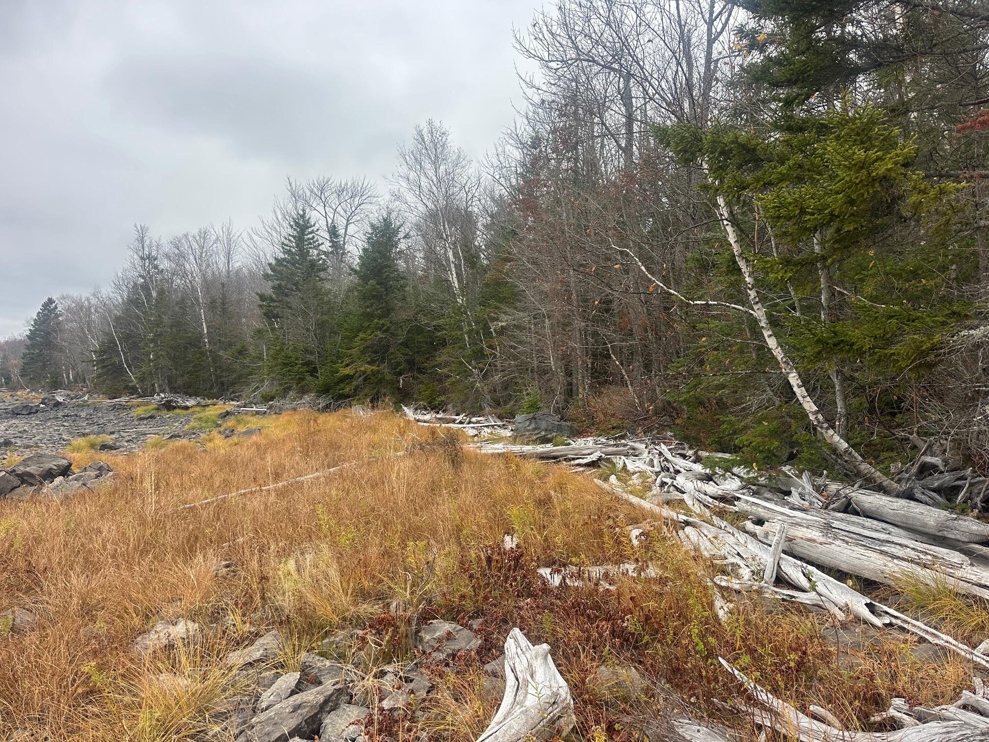 TBD Paradise Lane, Tomhegan Twp, ME, 04478