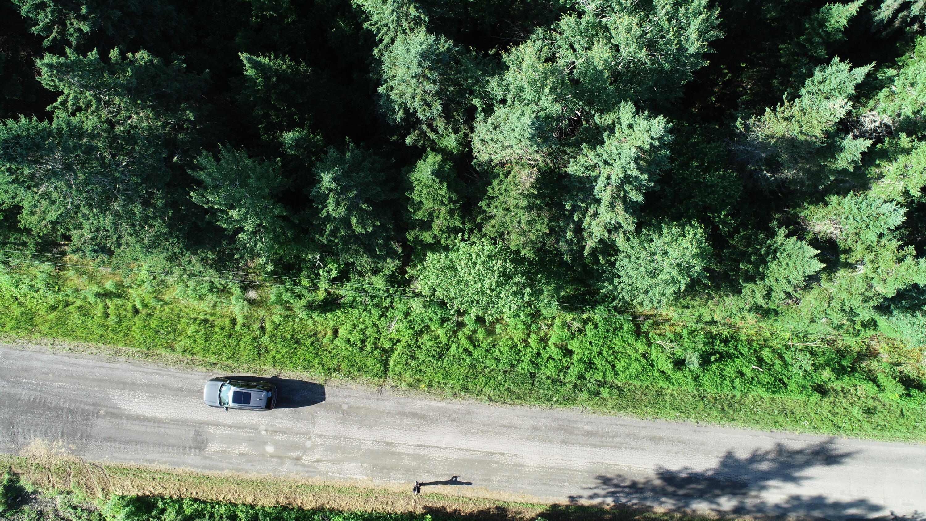 Lot 27 Brewer Road, Cary Plt, ME, 04471