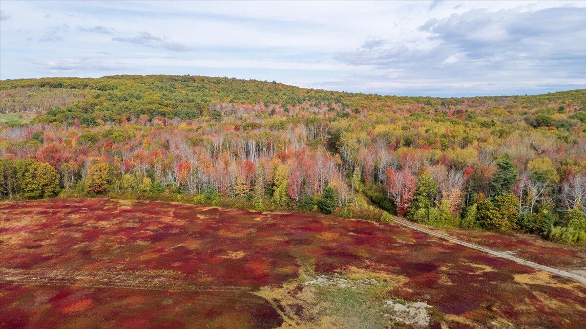 423 Beech Hill Road, Northport, ME, 04849