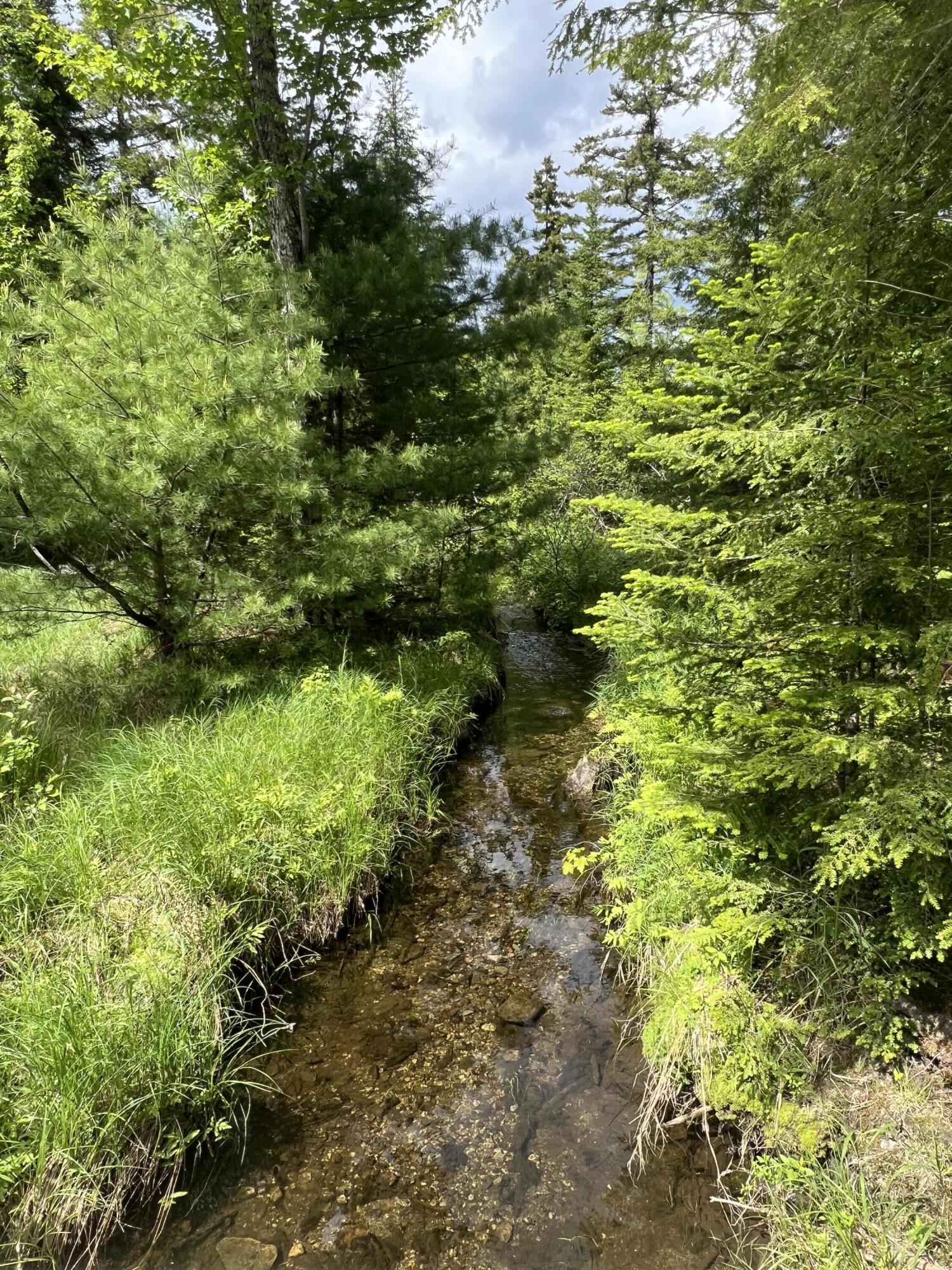 TBD Marks Mountain Way, Dedham, ME, 04429