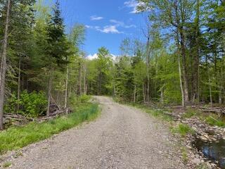 254 Eaton Road, Dexter, ME 04435 — photo 31