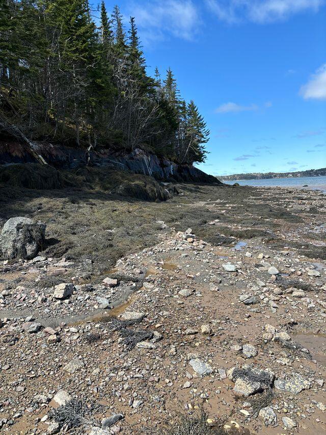 Lot 17A Yoho Head Road, Machiasport, ME, 04655