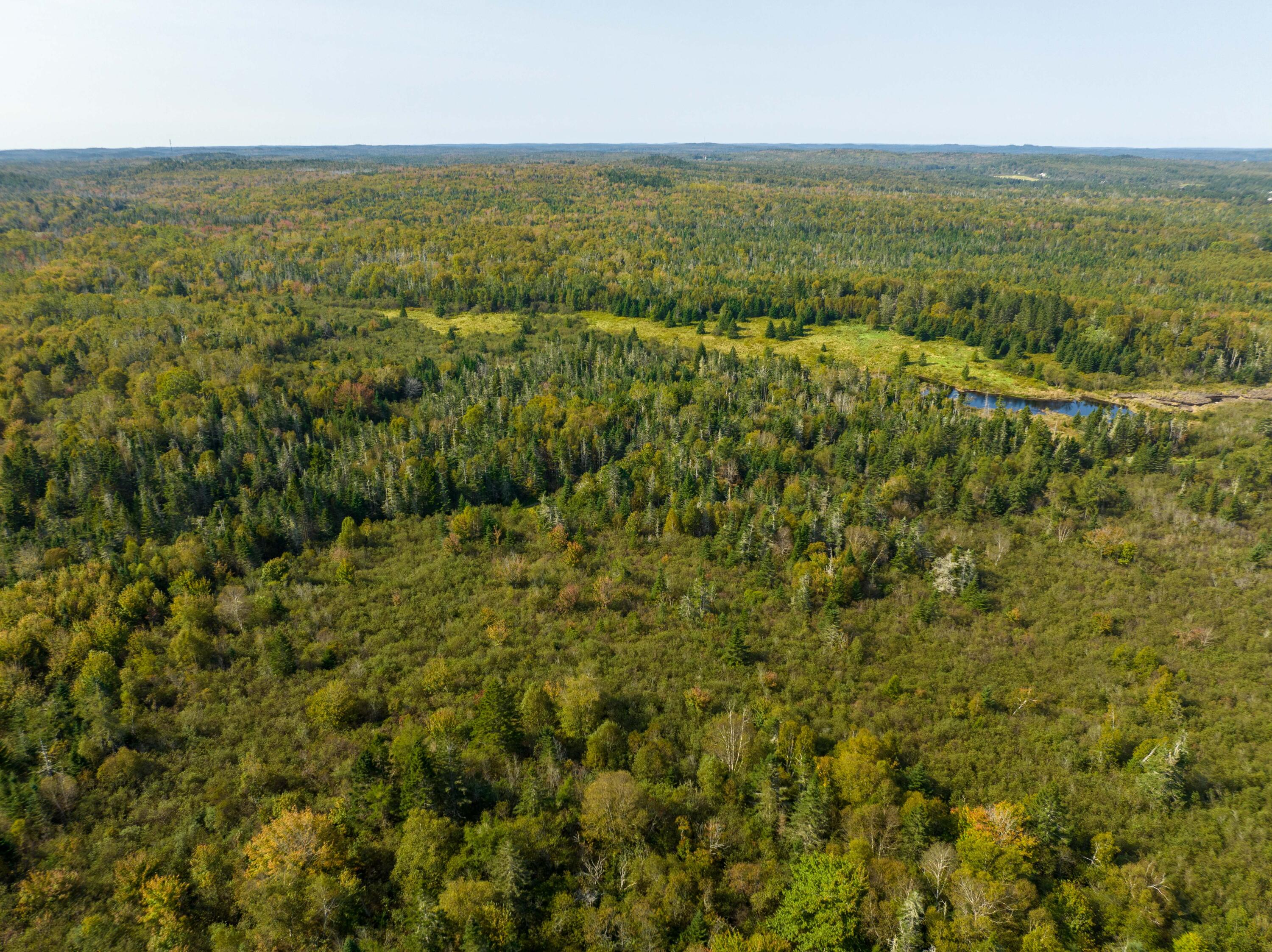 117 Denbow Road, Lubec, ME, 04652