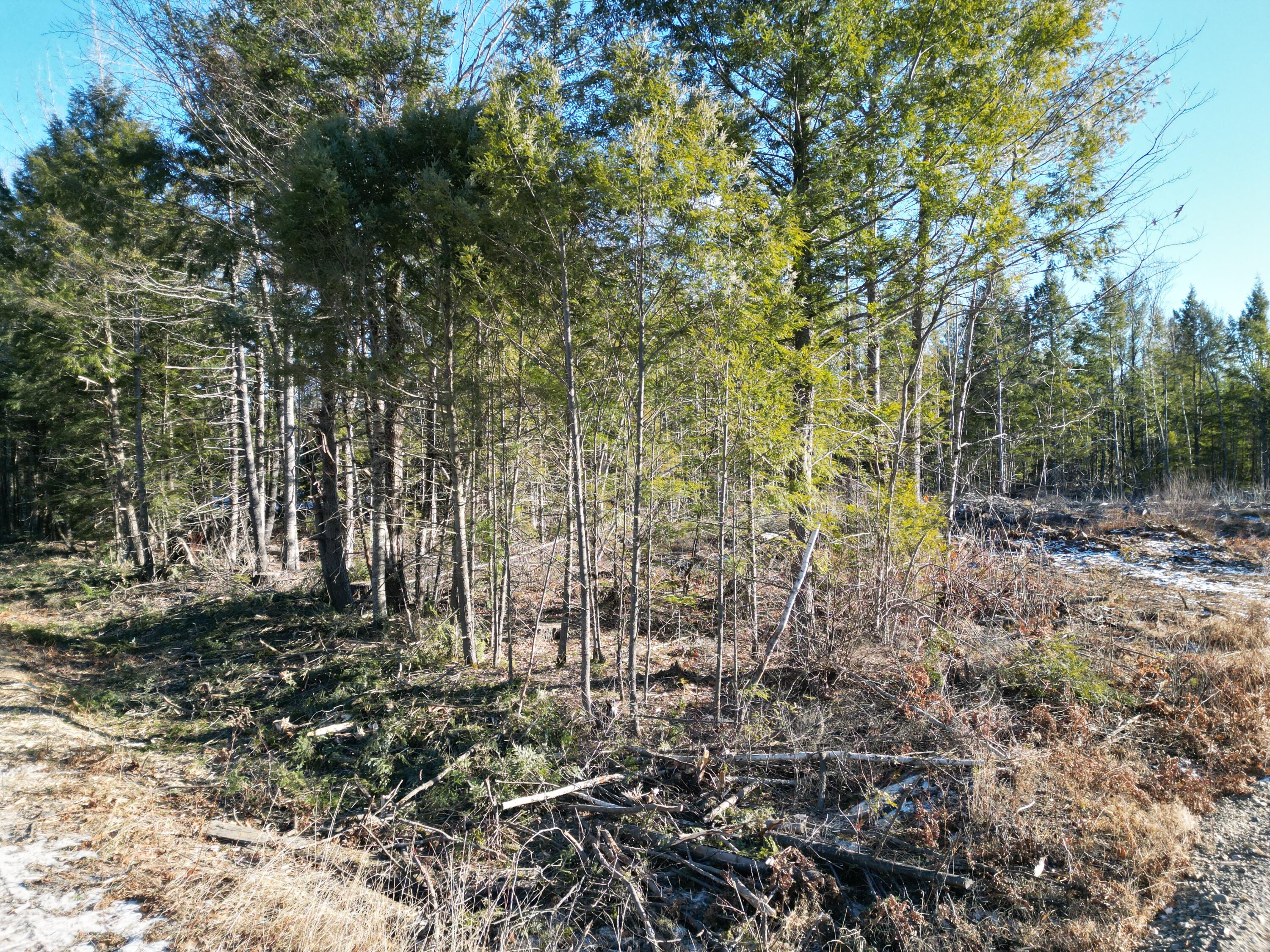 Lot 1 Mattamiscontis Road, Howland, ME, 04448