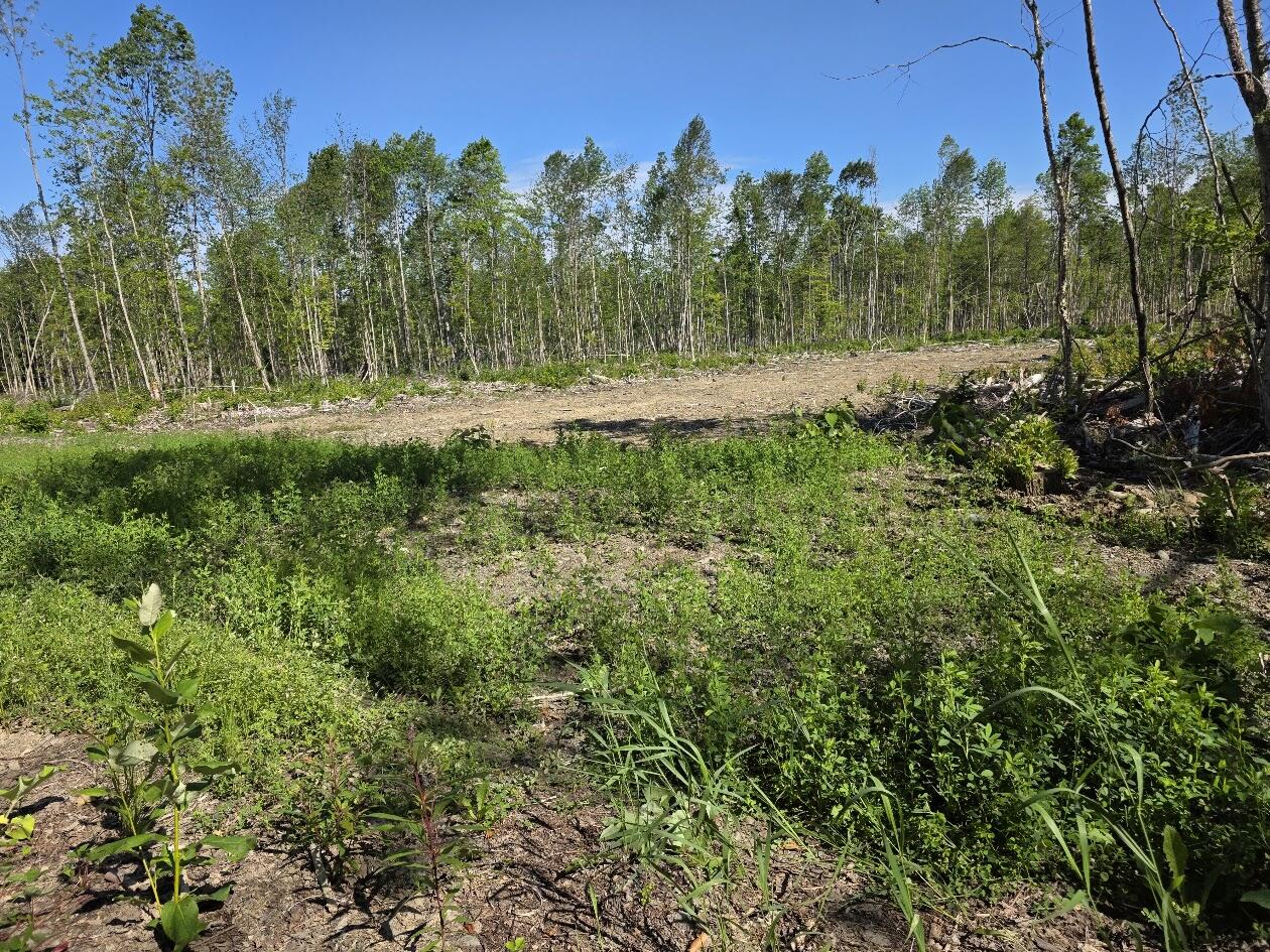Aroostook County Aroostook County