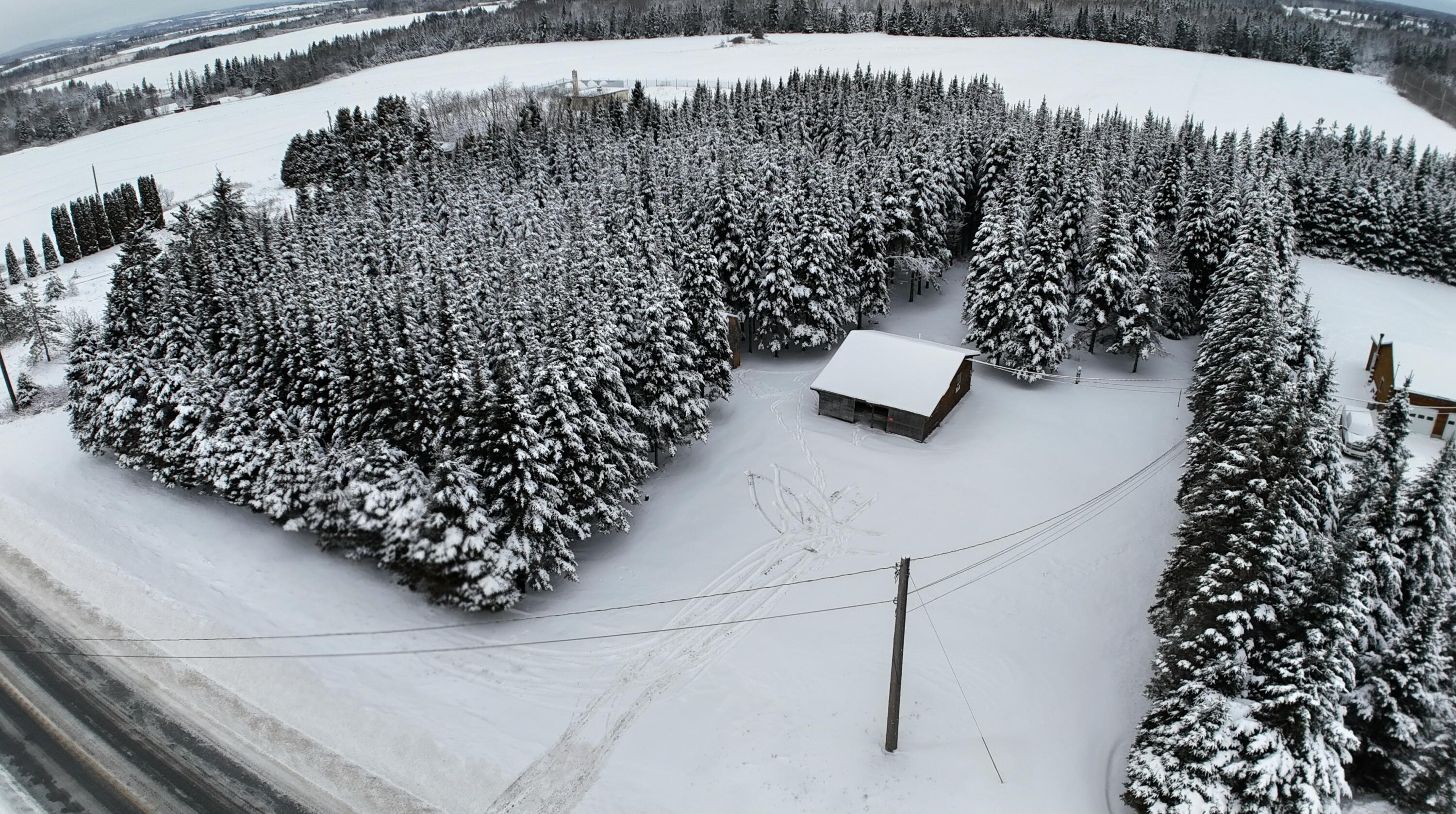 929 Access Highway, Limestone, ME, 04750