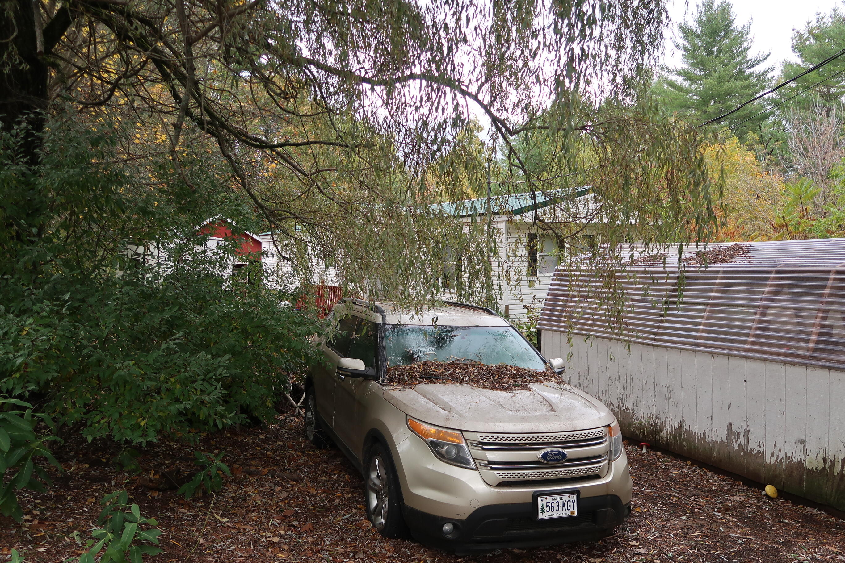 Property photo 3
