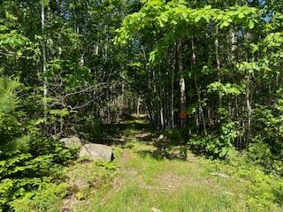 Lot UNIT&nbsp;4 Bonnie Way, Winterport, ME, 04496
