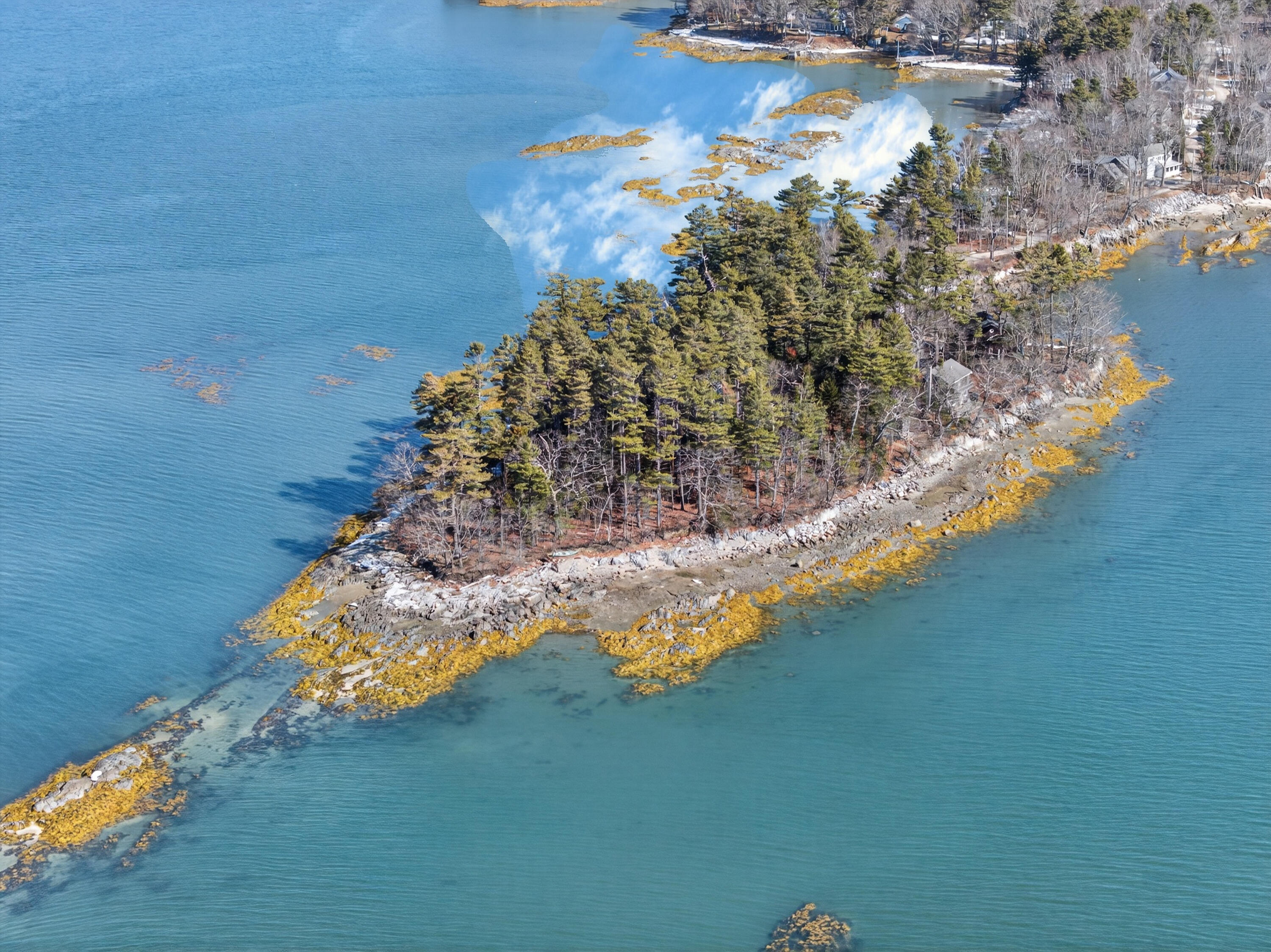 71 Merganser Way, Freeport, ME, 04032