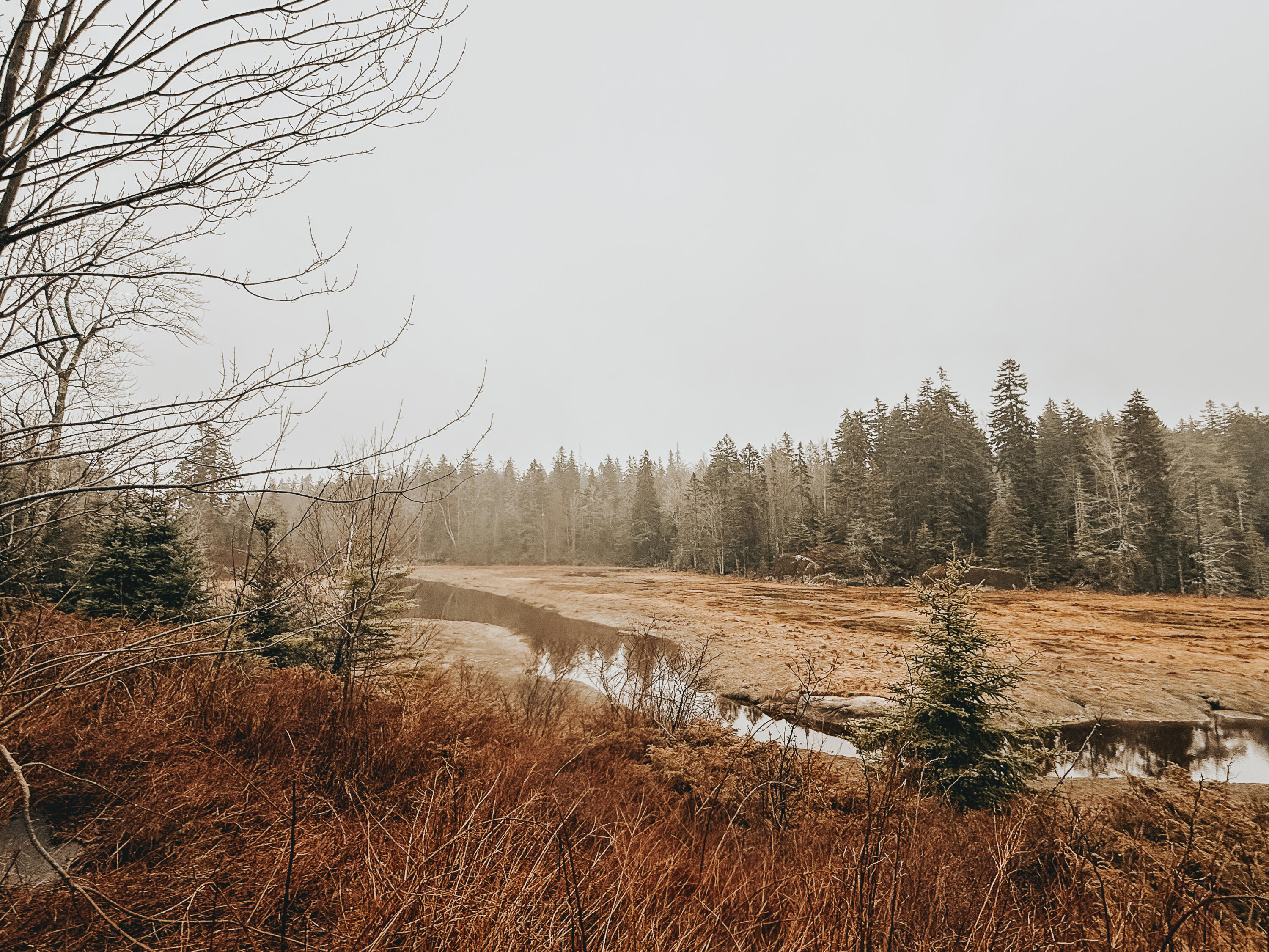 14 Sportsmans Way, Vinalhaven, ME, 04863