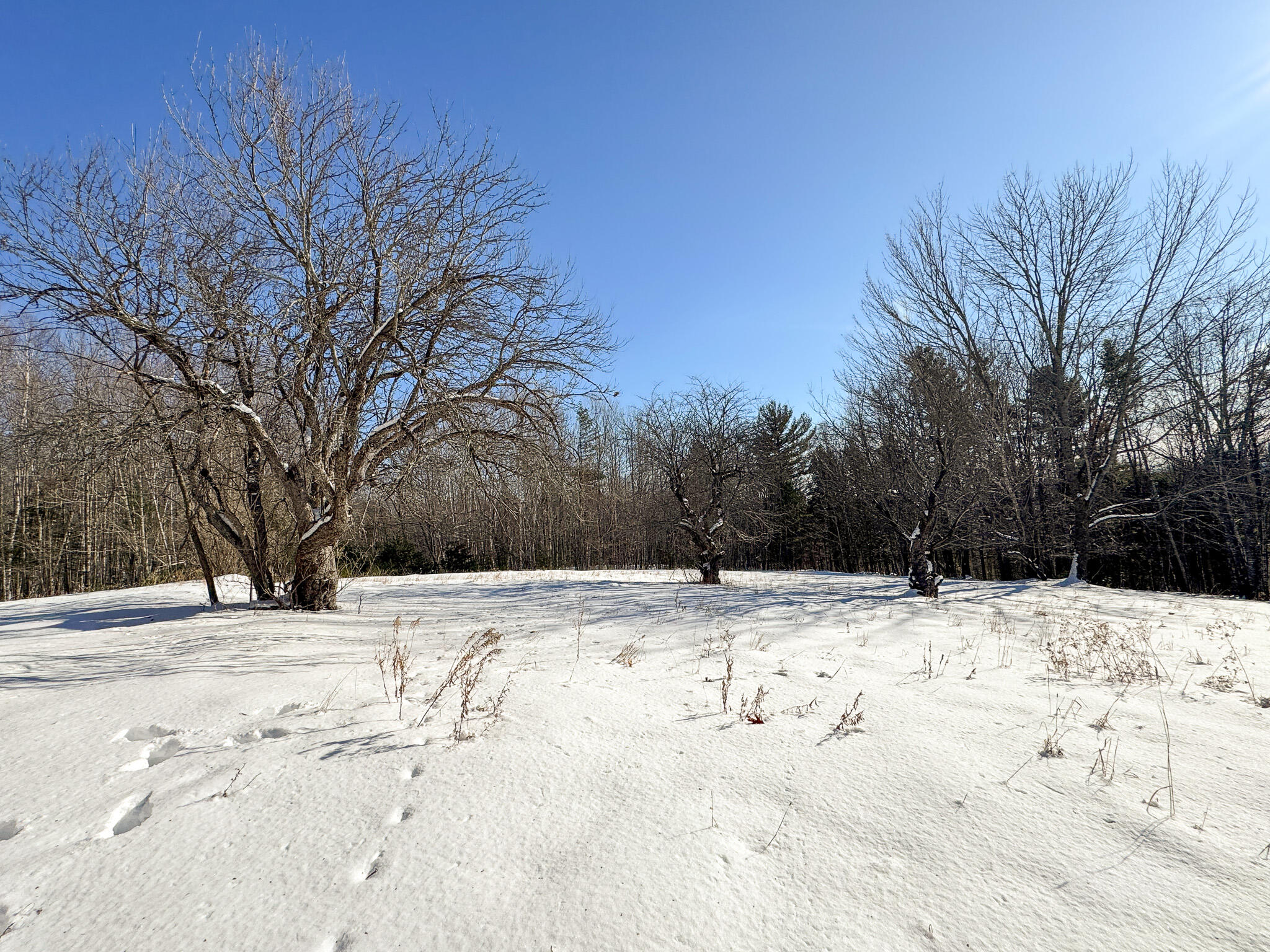 203 East Shore Road, Embden, ME, 04958