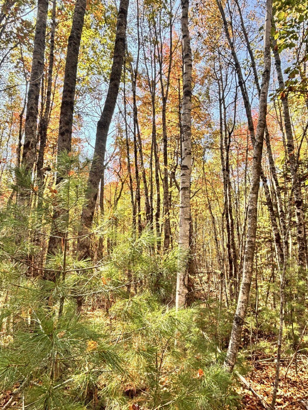 150 Bowden Point Road, Prospect, ME, 04981