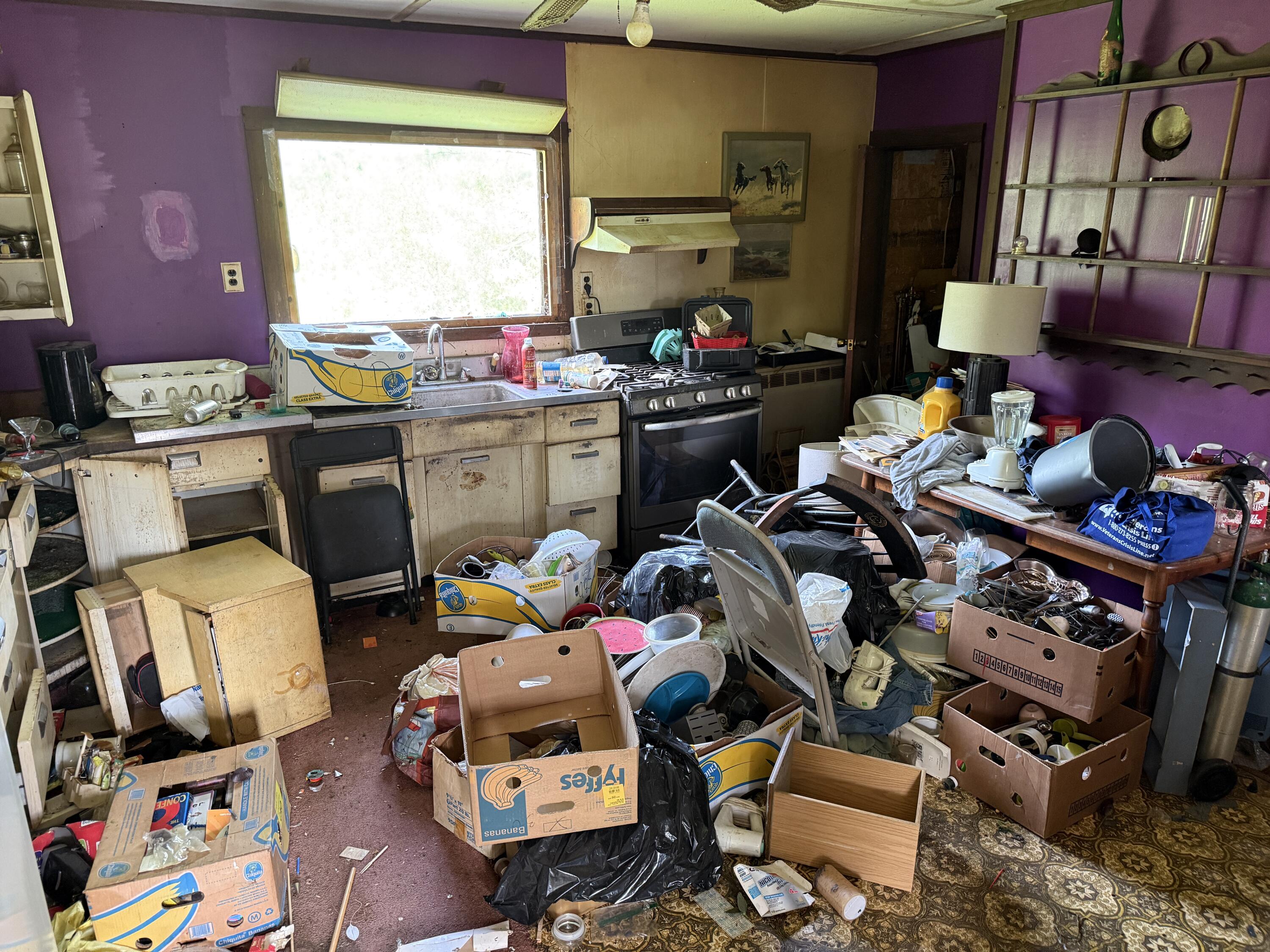 19 Schoolhouse Road, Winterport, ME, 04496