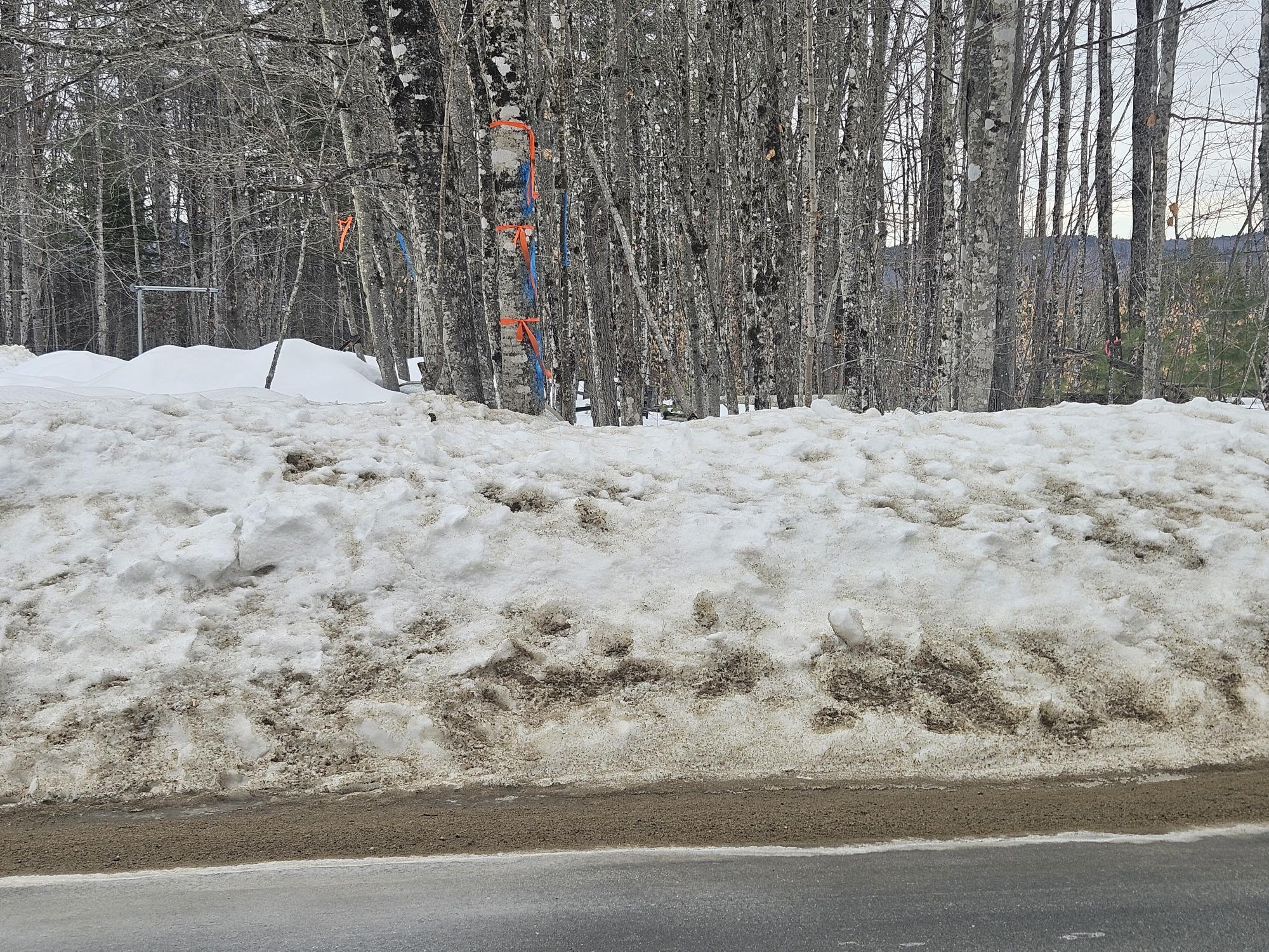 L52 Bridgton Road, Sweden, ME, 04040