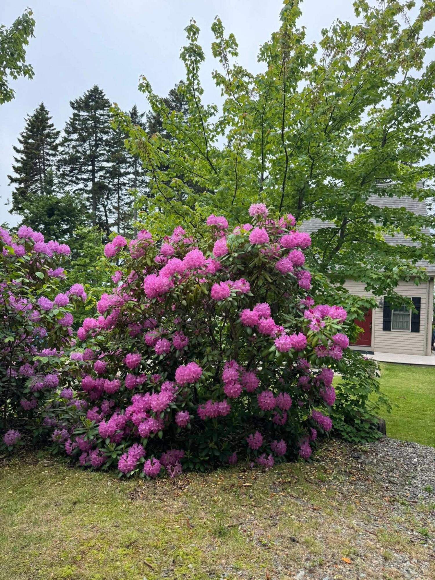 Undisclosed Address, Whiting, ME, 04691