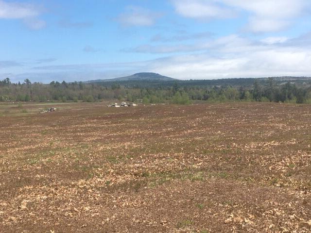 0 Kingdom Road, Blue Hill, ME, 04614