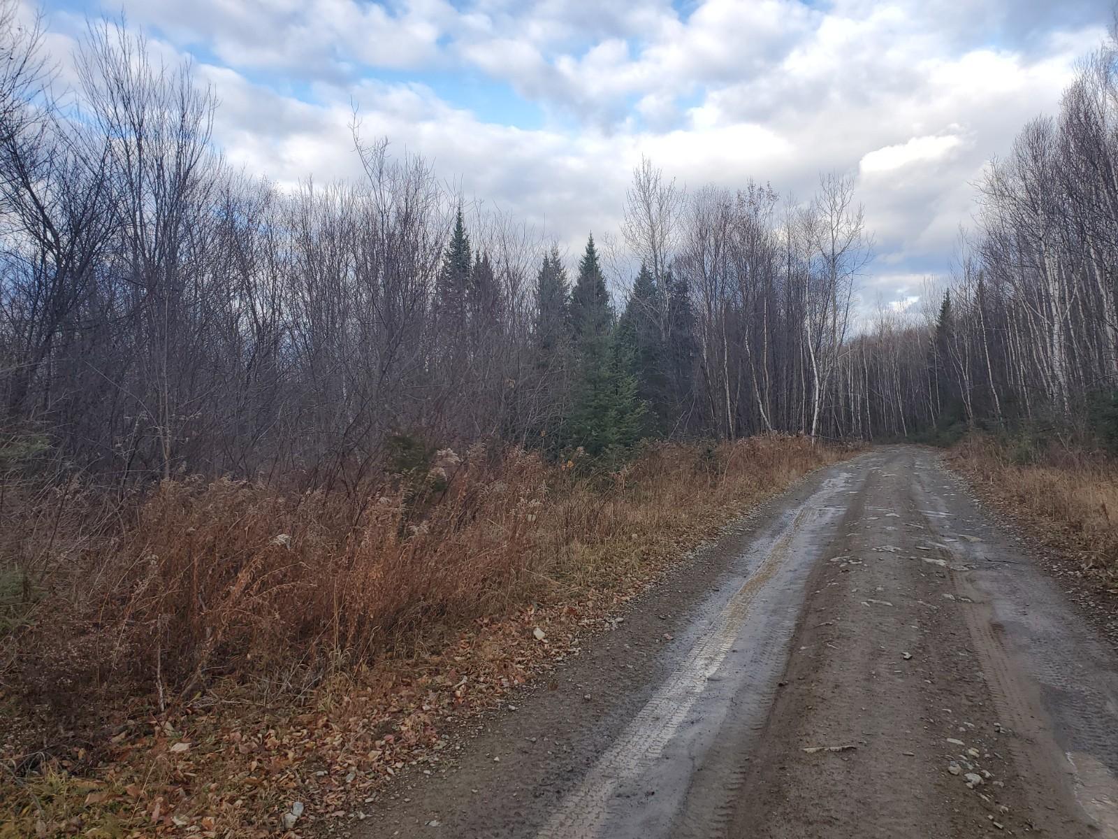 Lot 4 West of May Mountain Road, Island Falls, ME, 04747