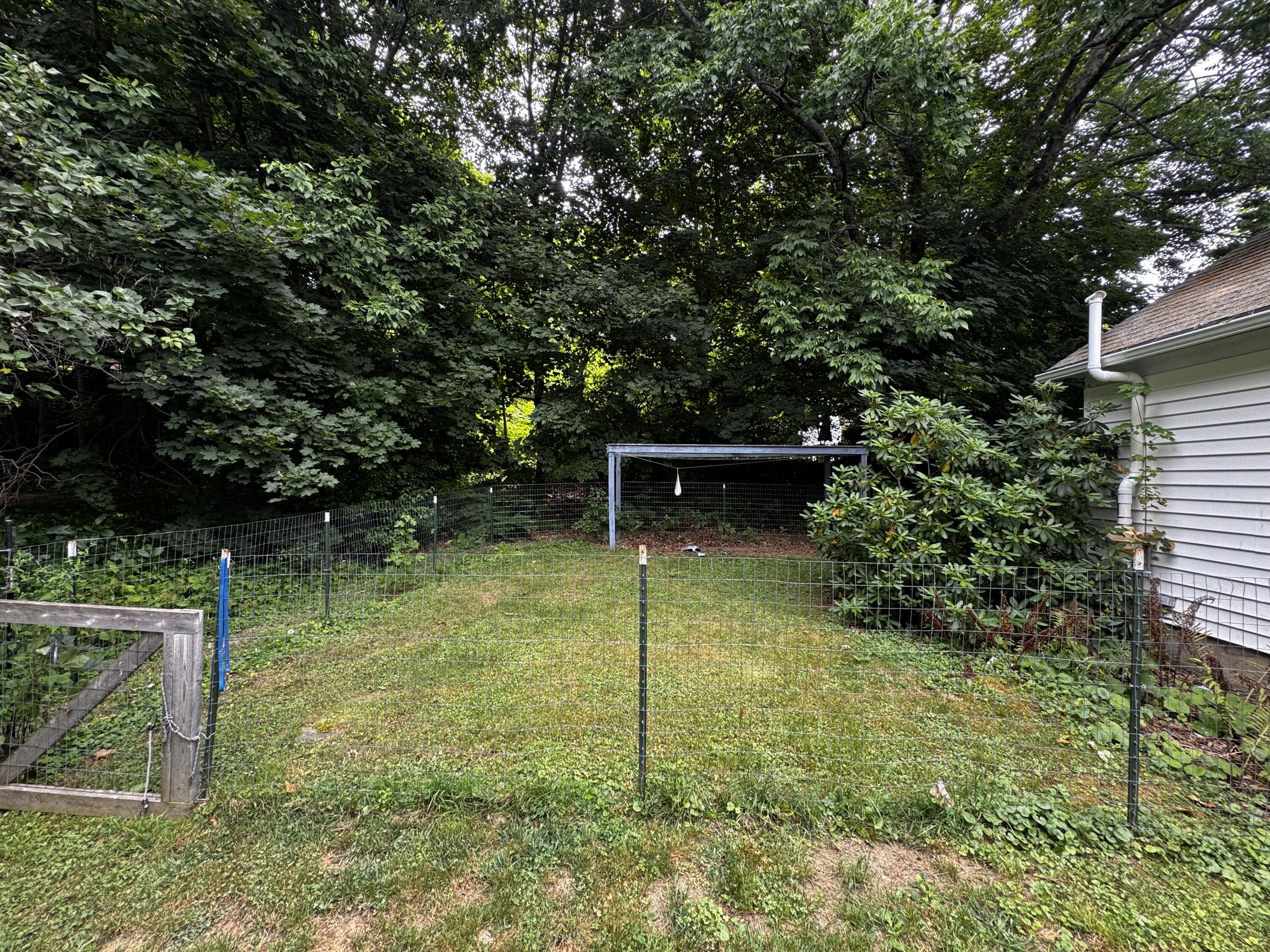 Fenced Area Back Yard
