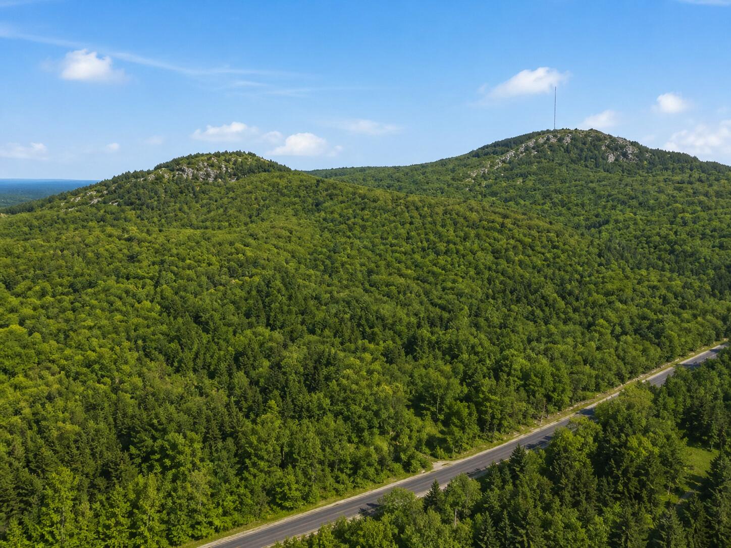 Penobscot County
