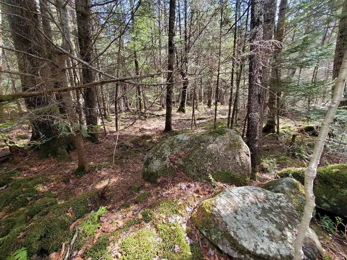 Photo of 0 Howland (Rte 155) Road Lagrange ME 04453