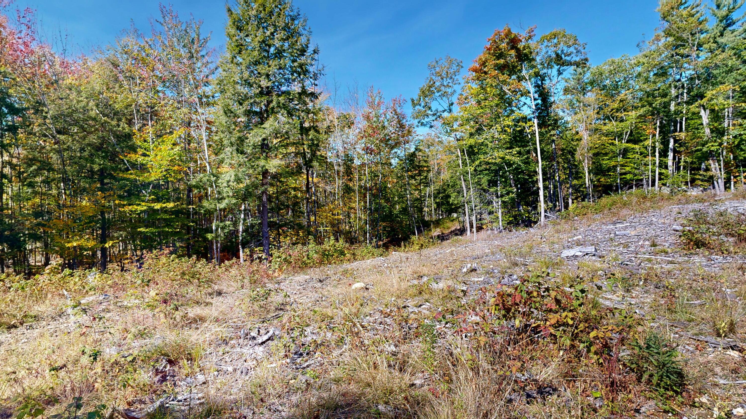 Lot 21B Station Road, Hebron, ME, 04238