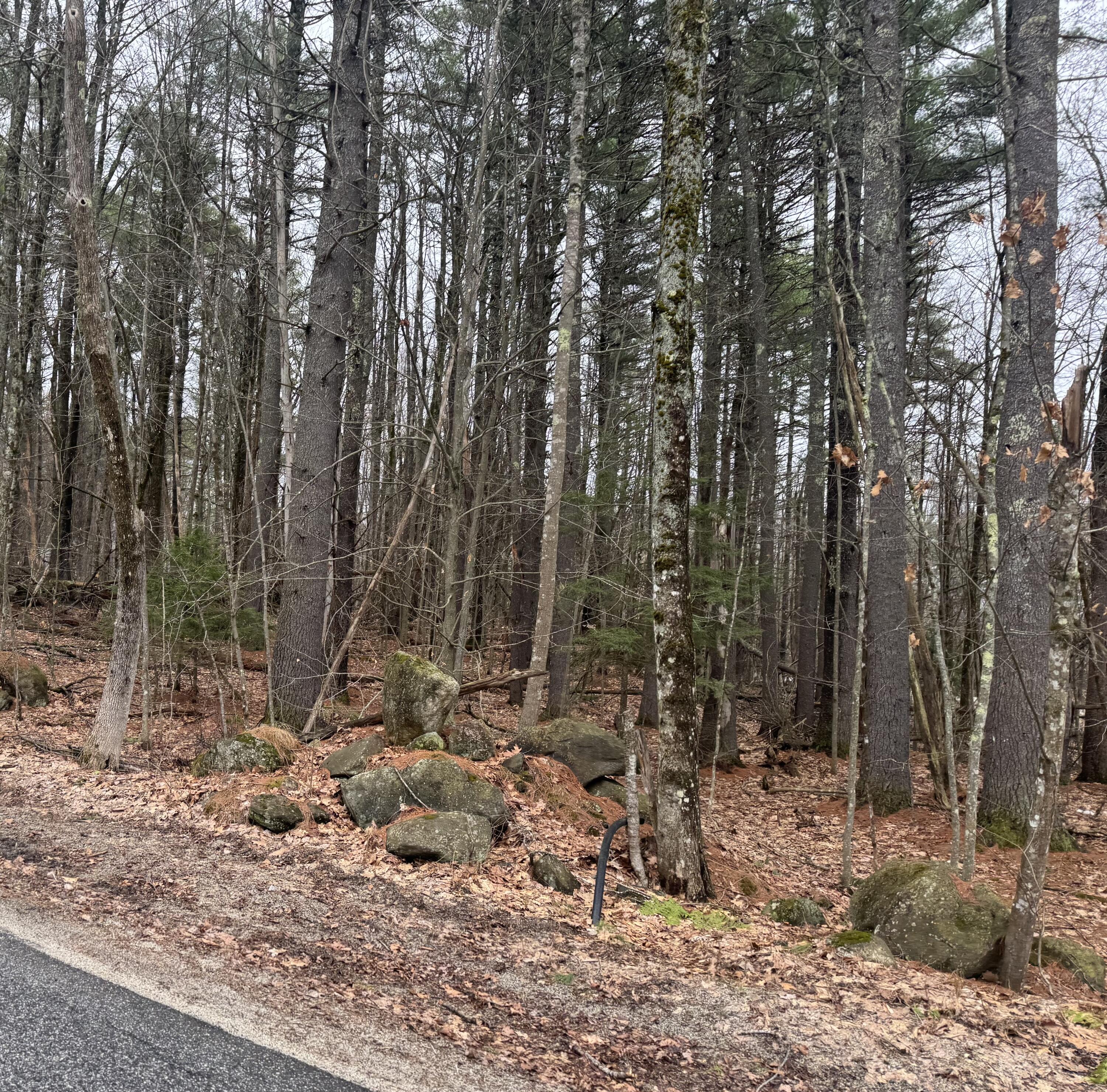 0 Pioneer Path UNIT Lot 5, Aurora, ME, 04408