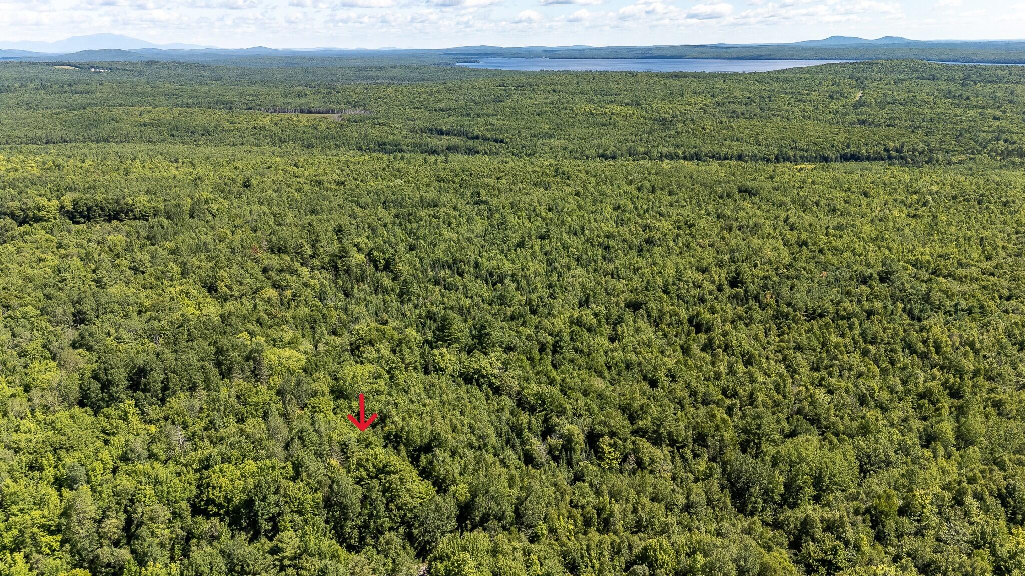 Lot 18-5 Woodland Lane, #Map 2, Brownville, ME 04414 arrow