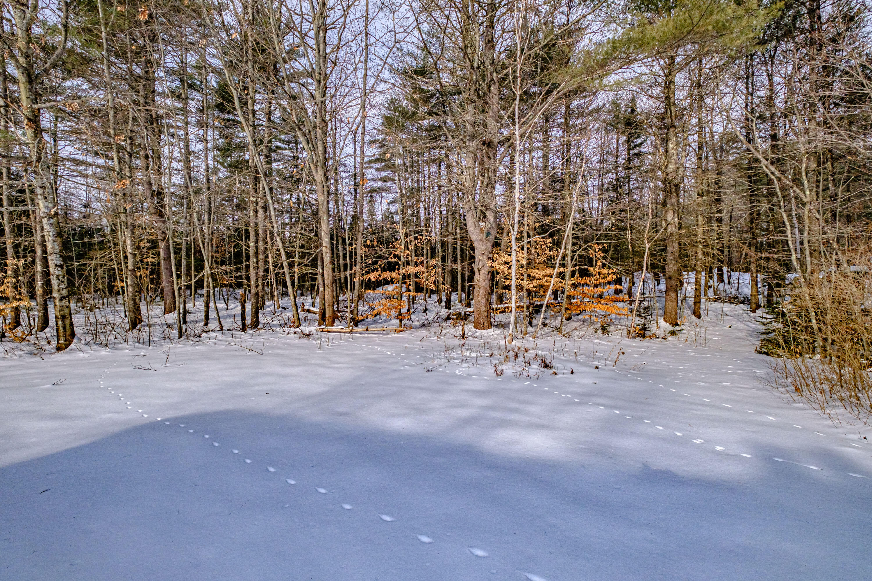 15 Skillings Road, Bethel, ME, 04217-3643